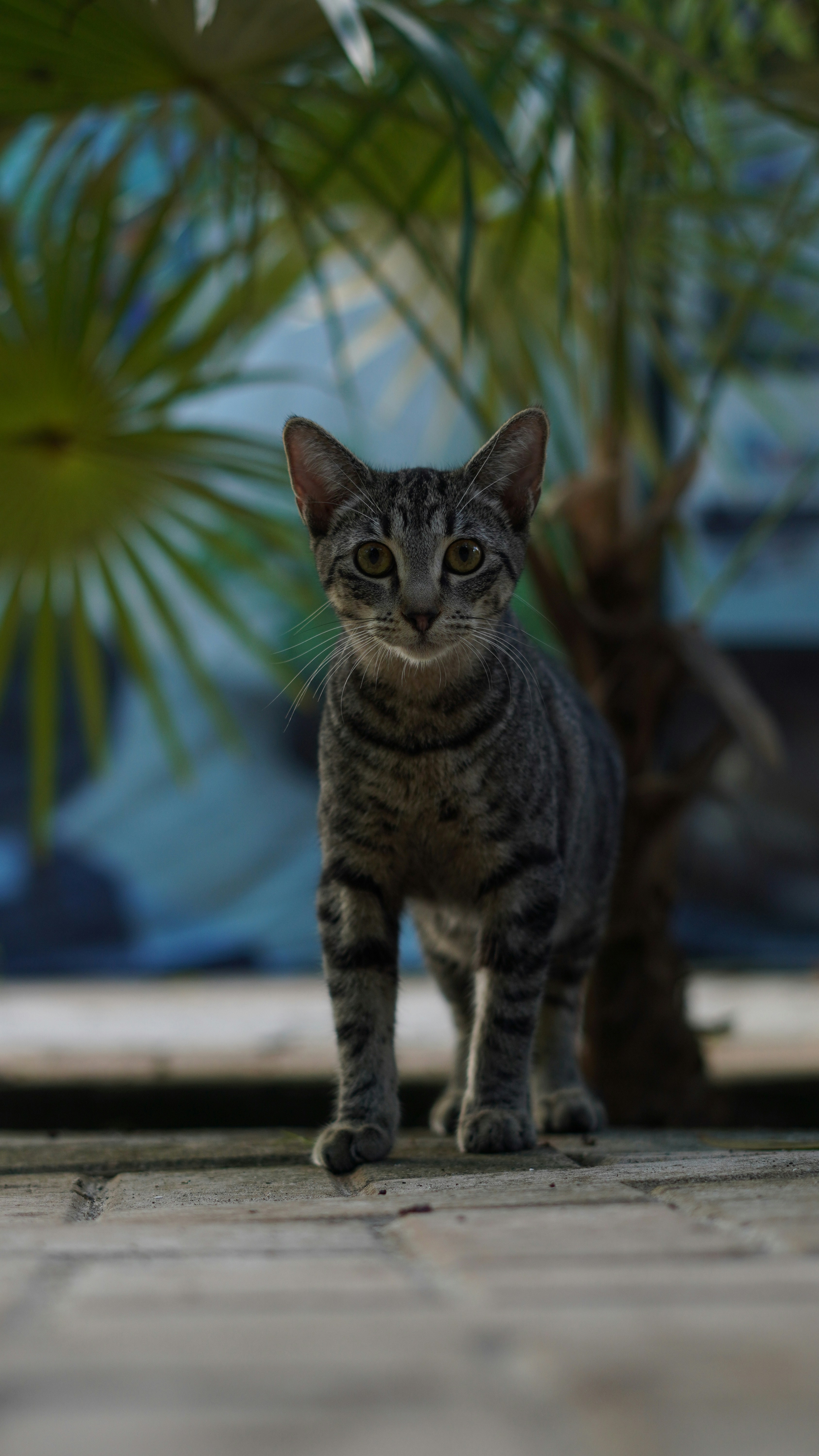 Photo by aerialshooter