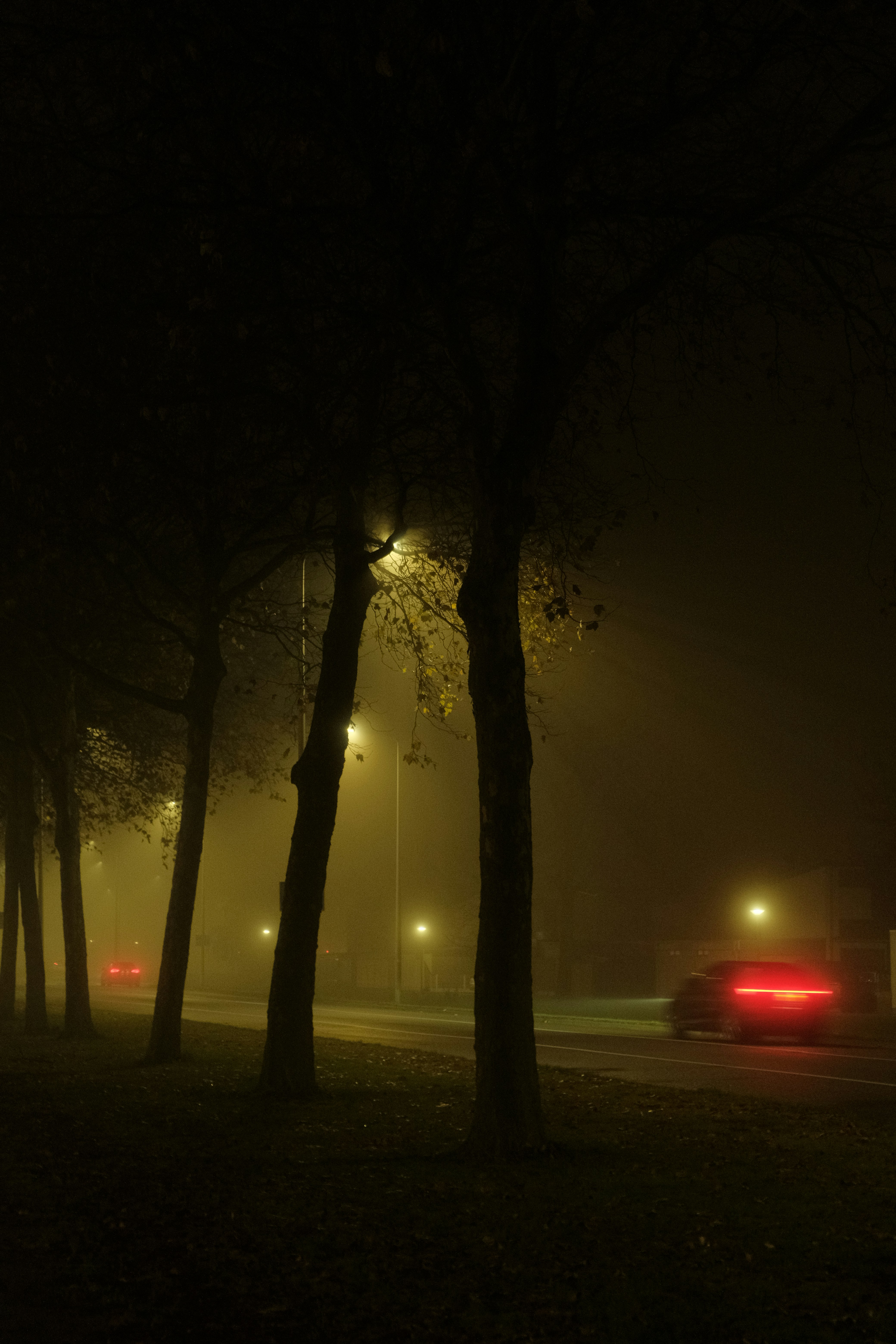 Photo by kyantijhuis