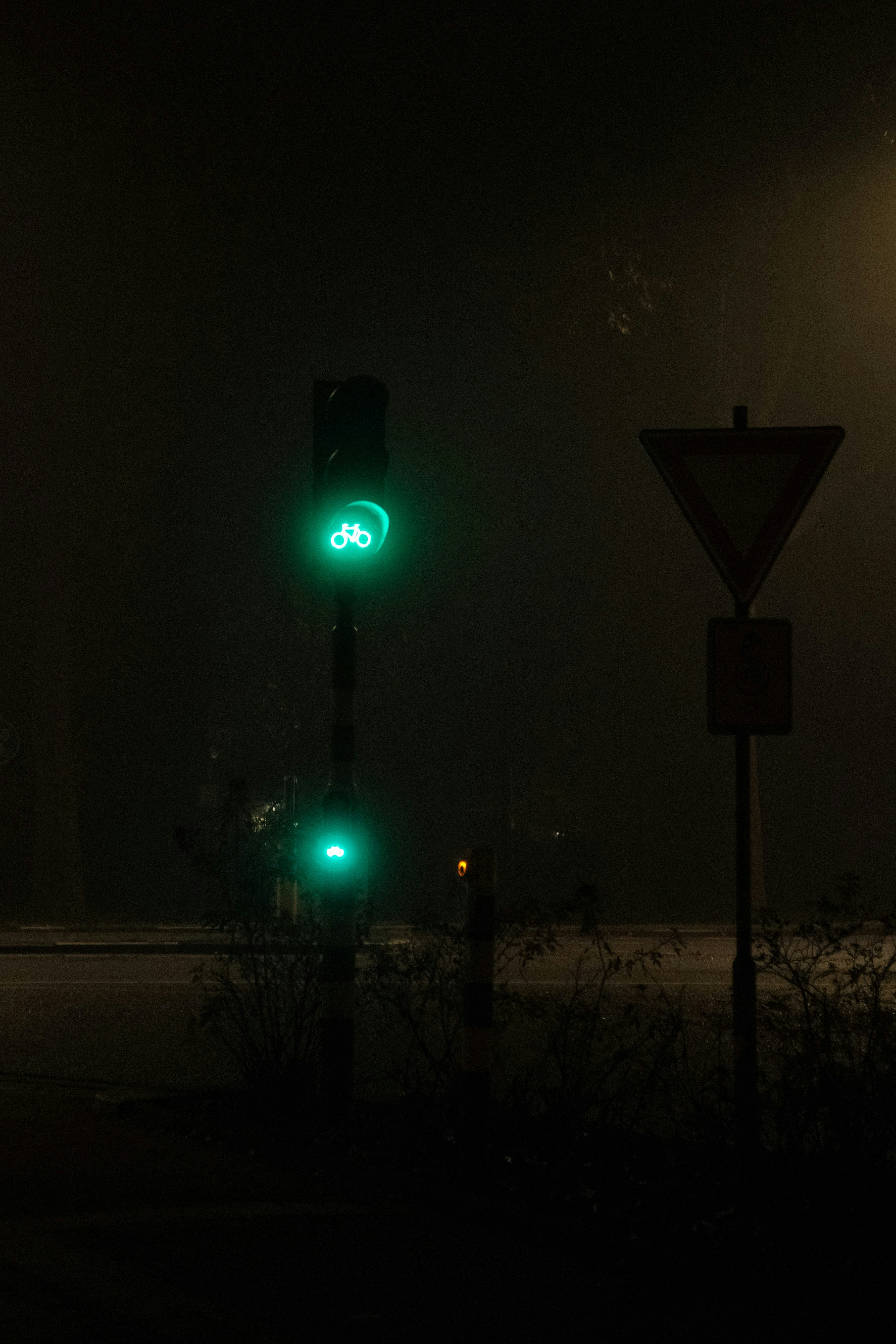 Green traffic light in foggy night