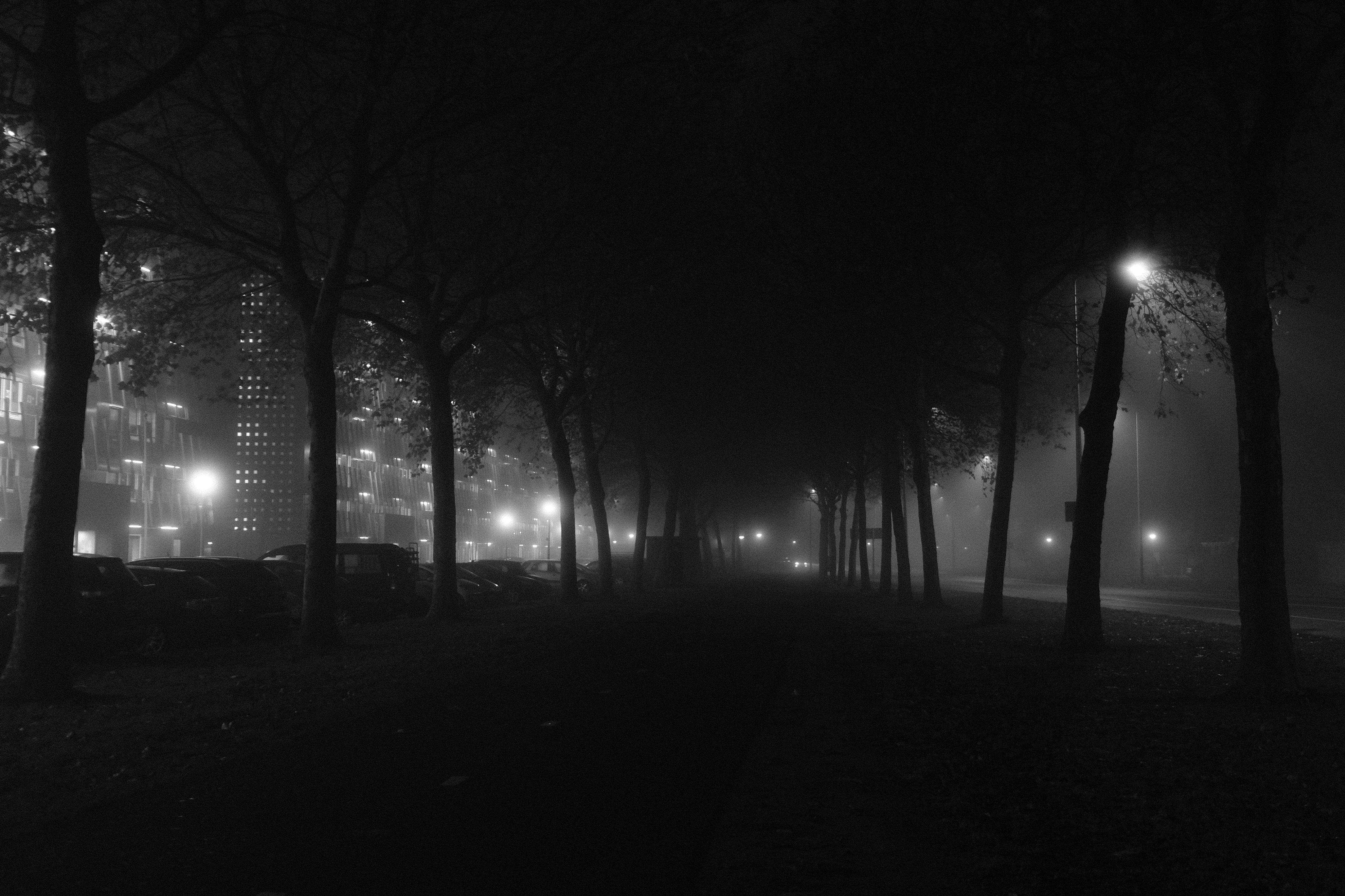 Photo by kyantijhuis