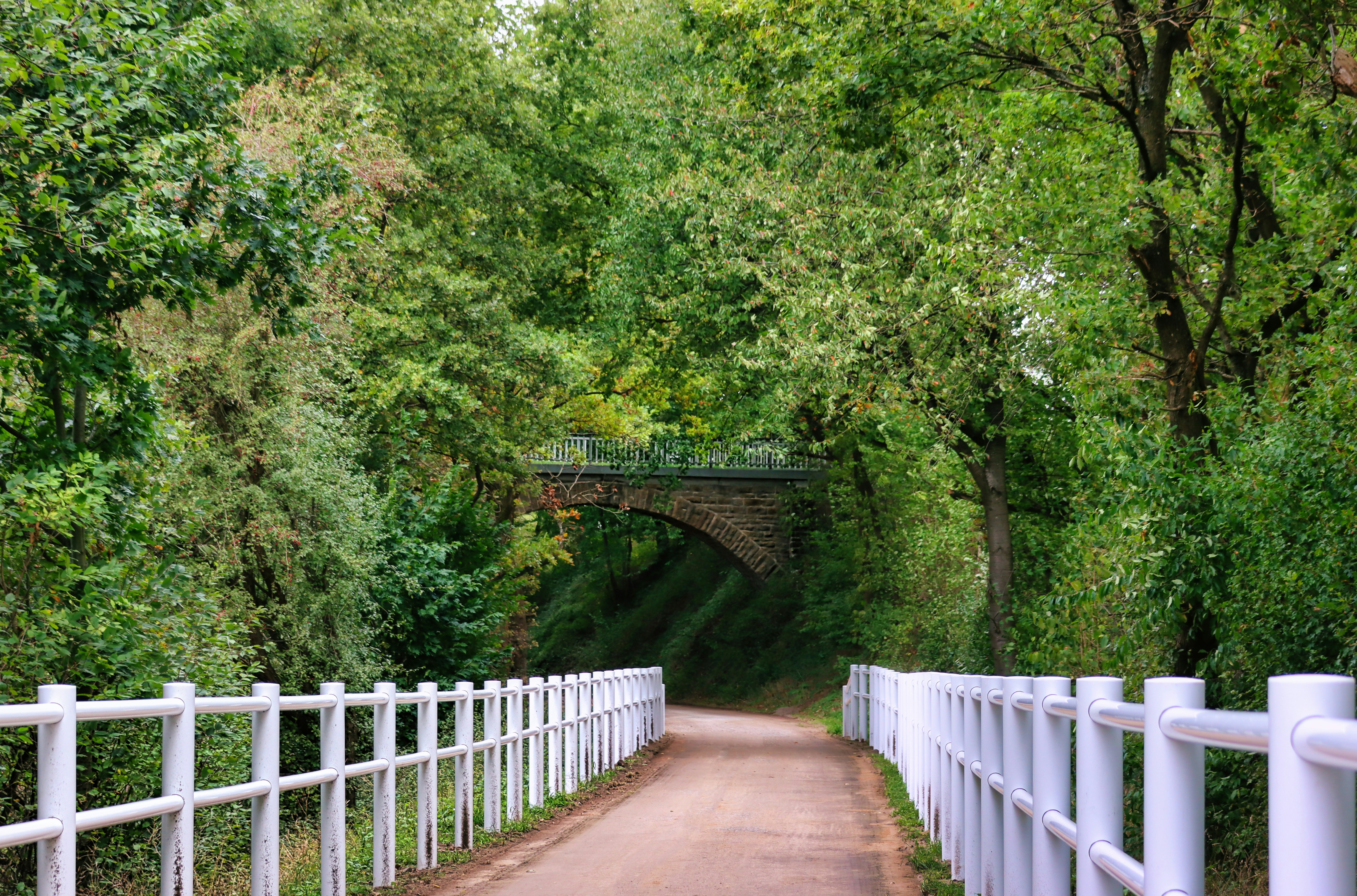 Photo by rotanesshot