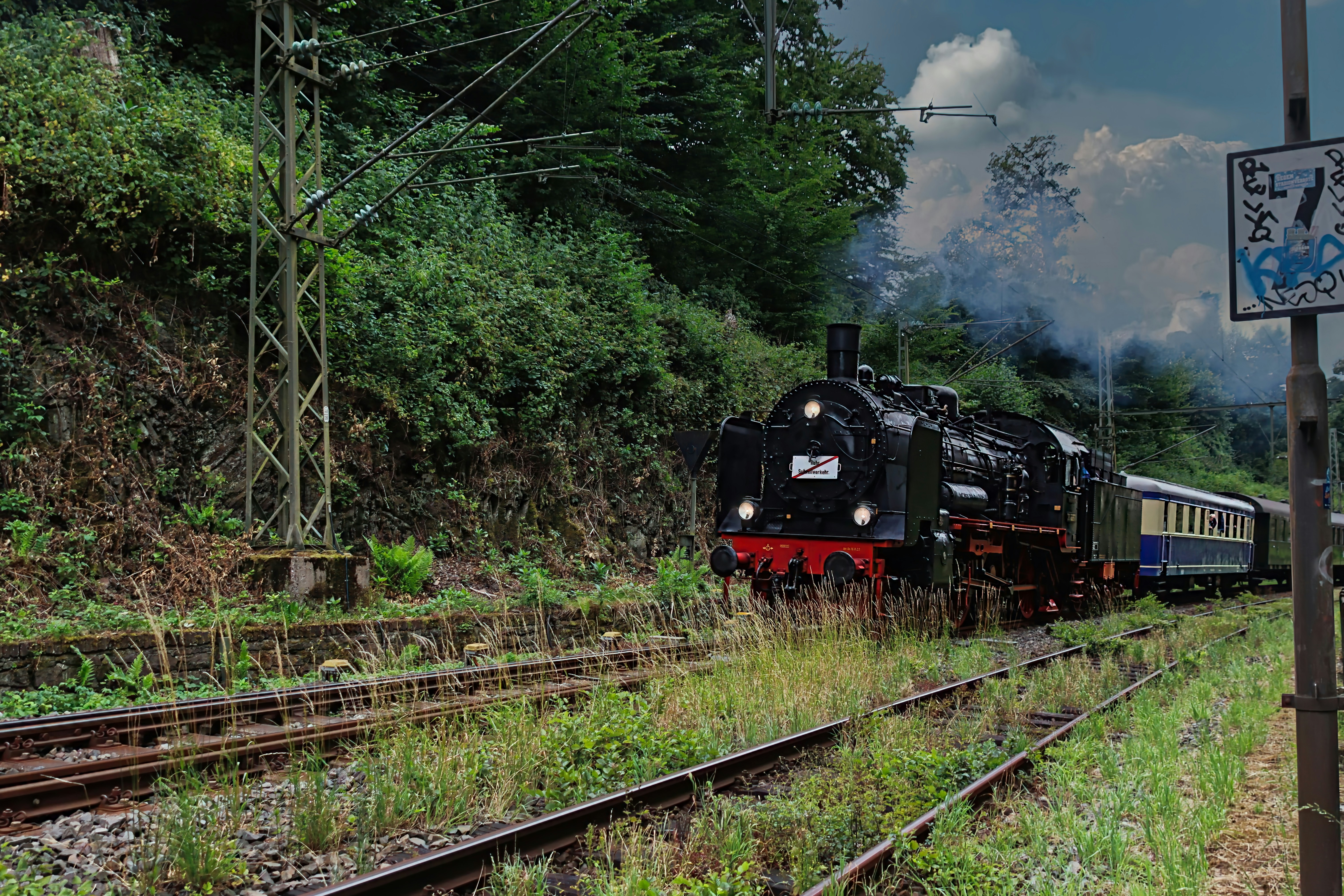 Photo by rotanesshot