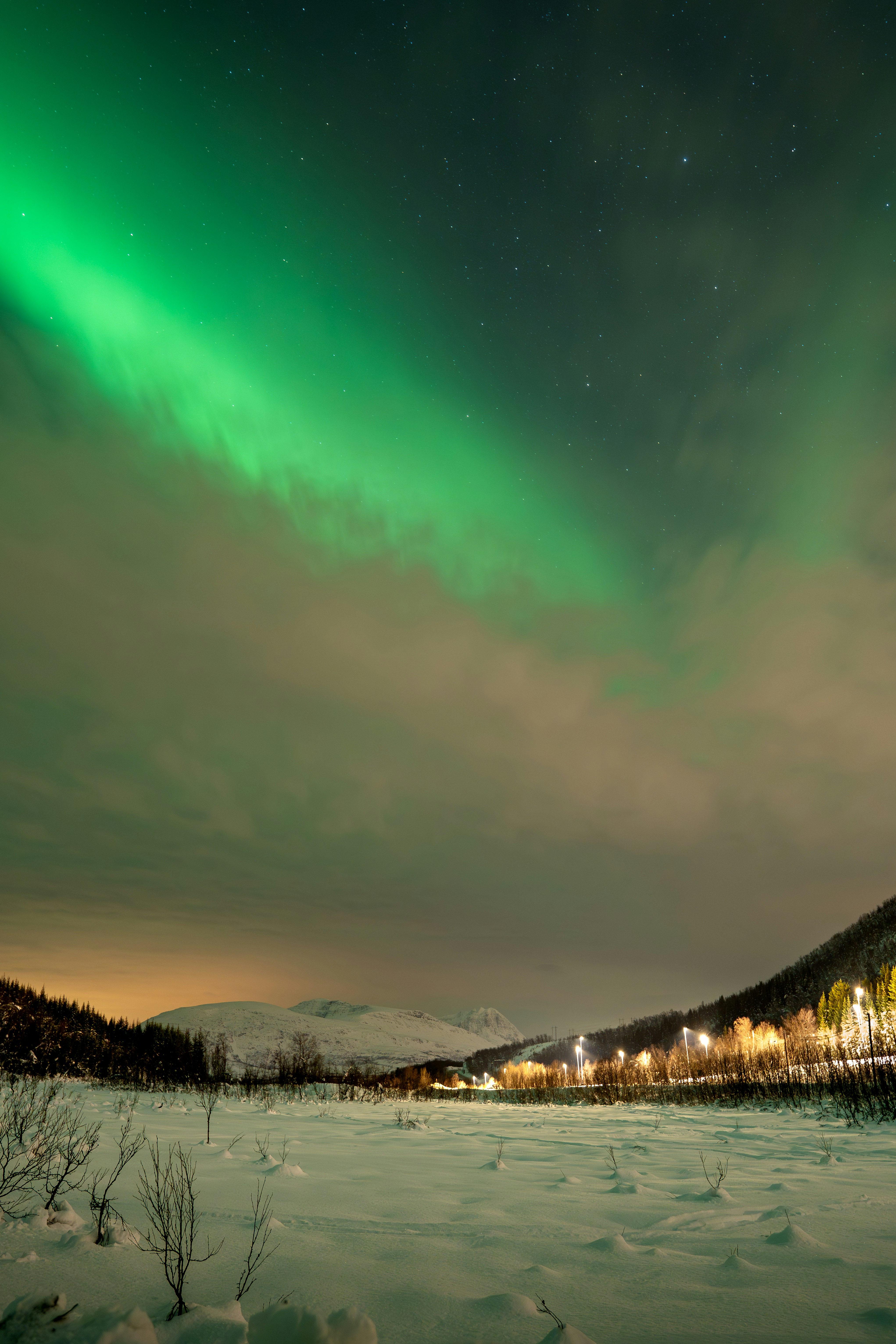 Green aurora borealis over snow-covered landscape at night