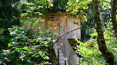 Wooden treehouse with rope bridge in forest