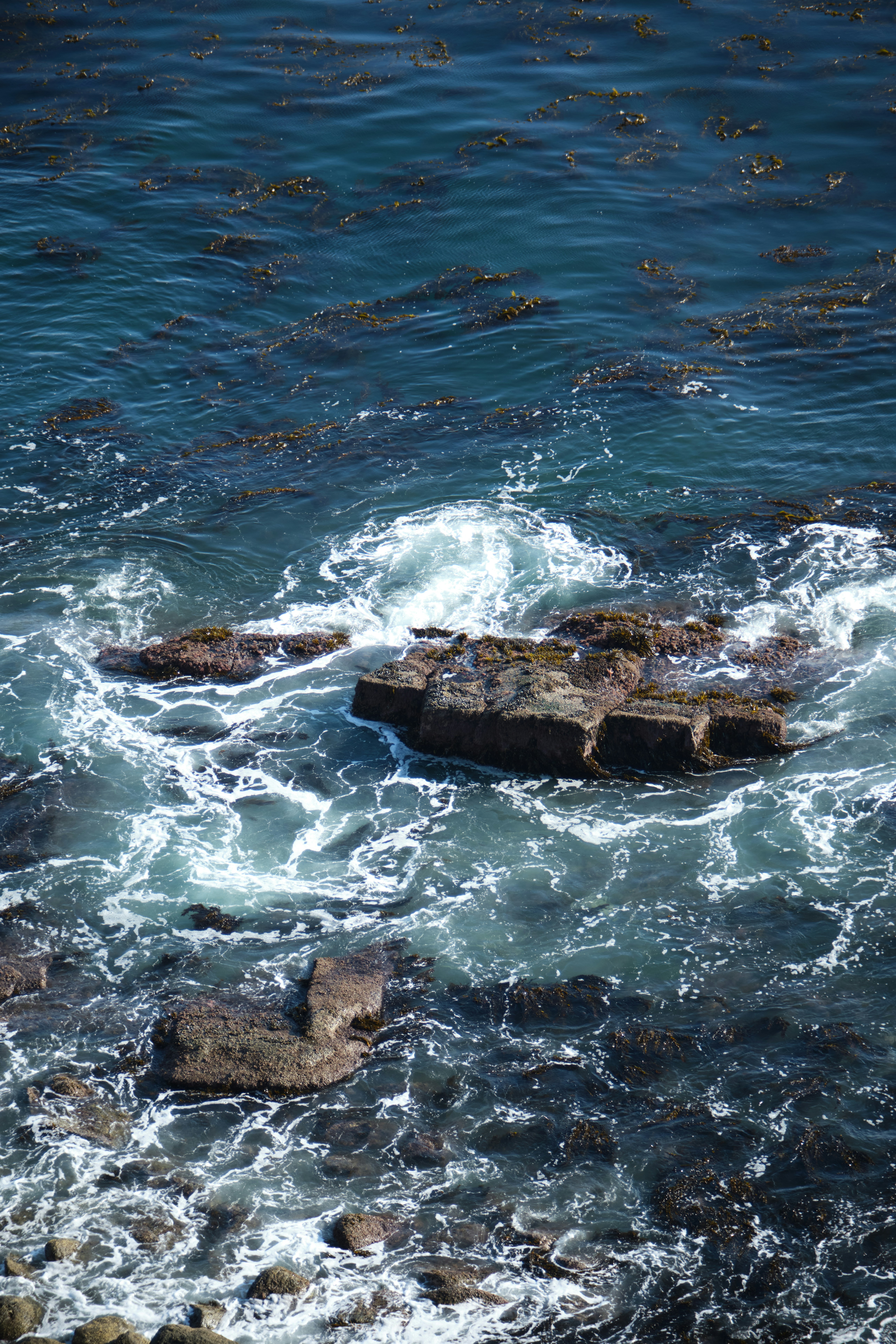 Onde che si infrangono sulla riva rocciosa con alghe.