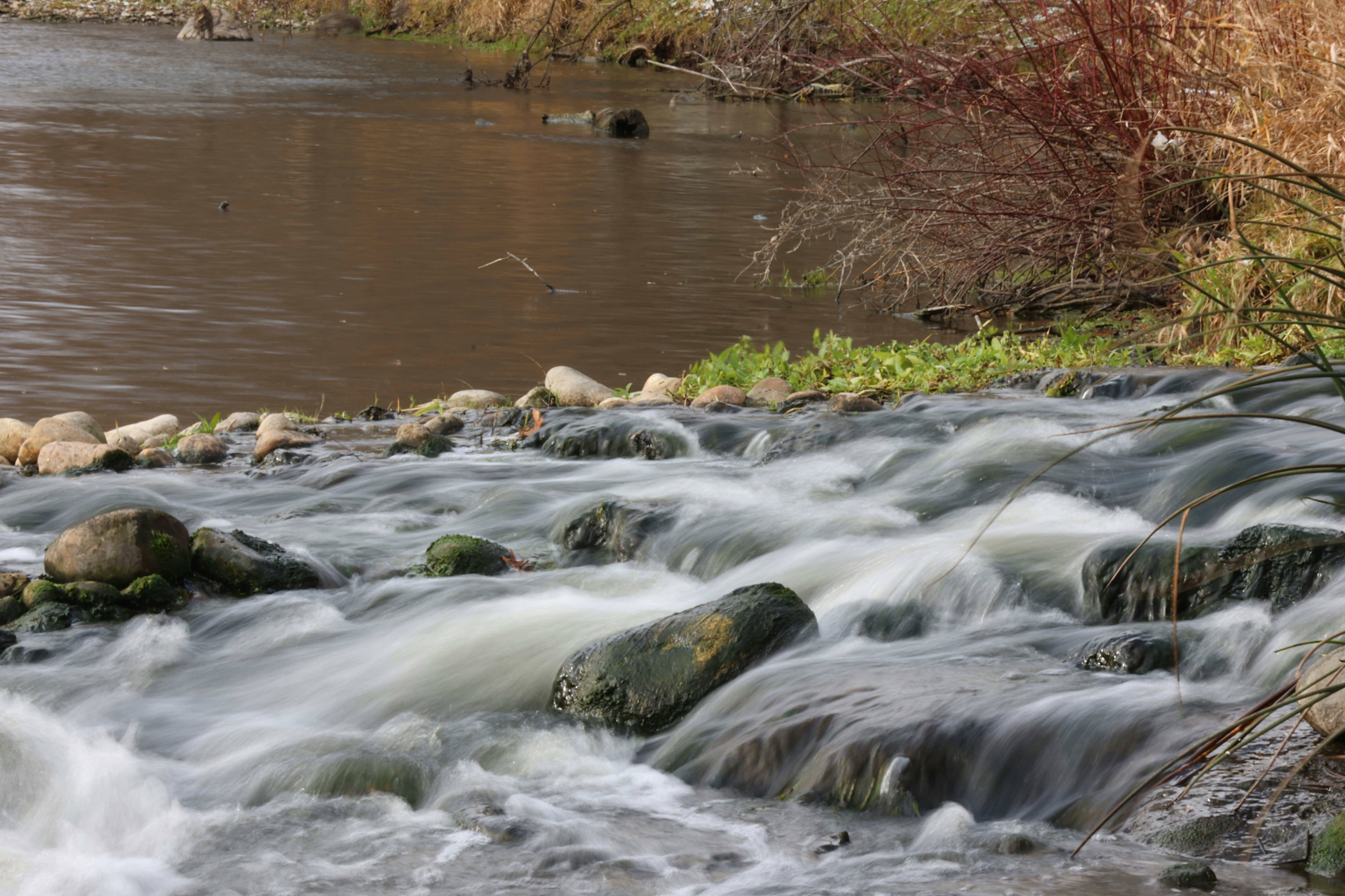 Photo by princeprajapati