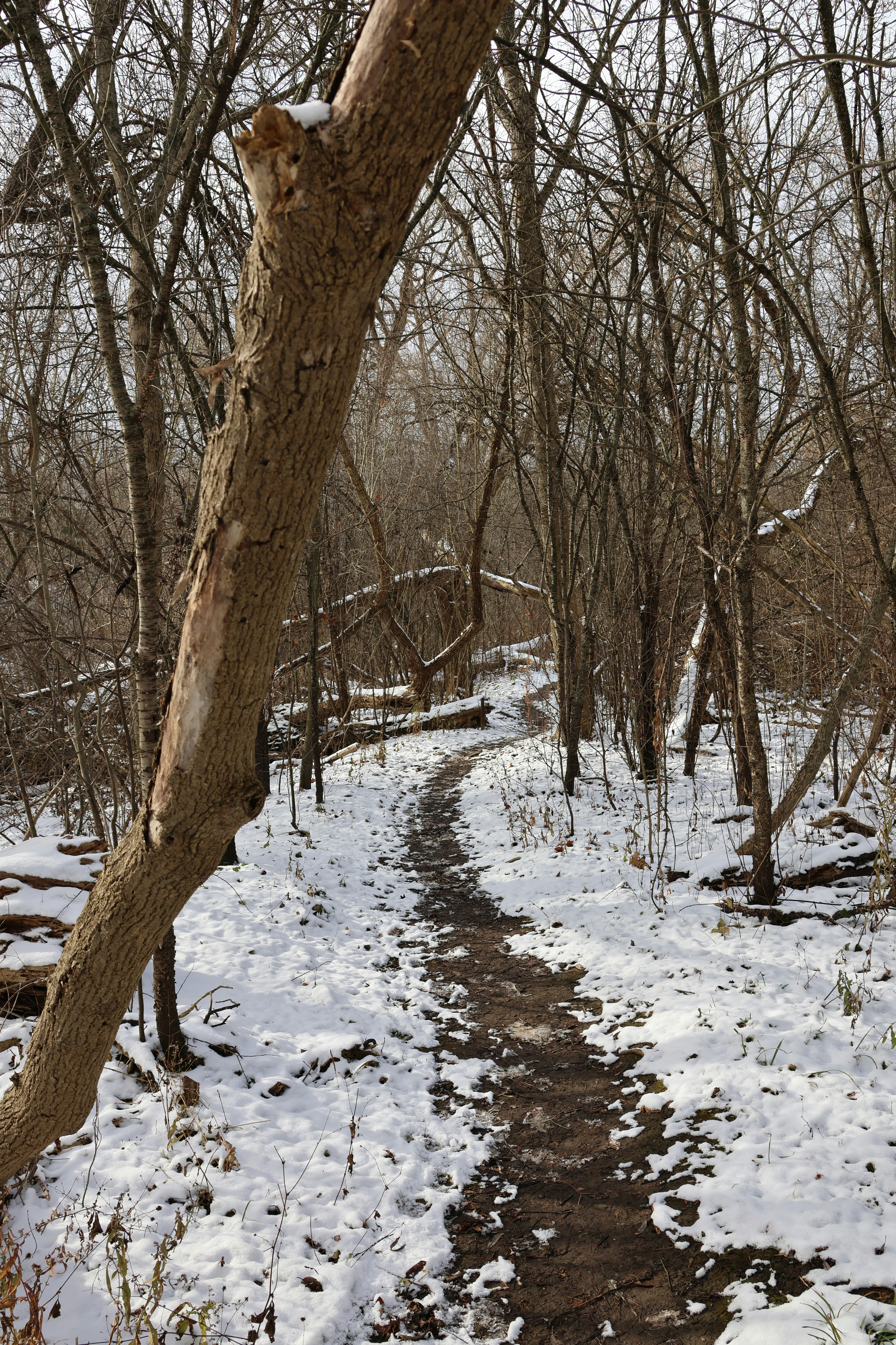 Photo by princeprajapati