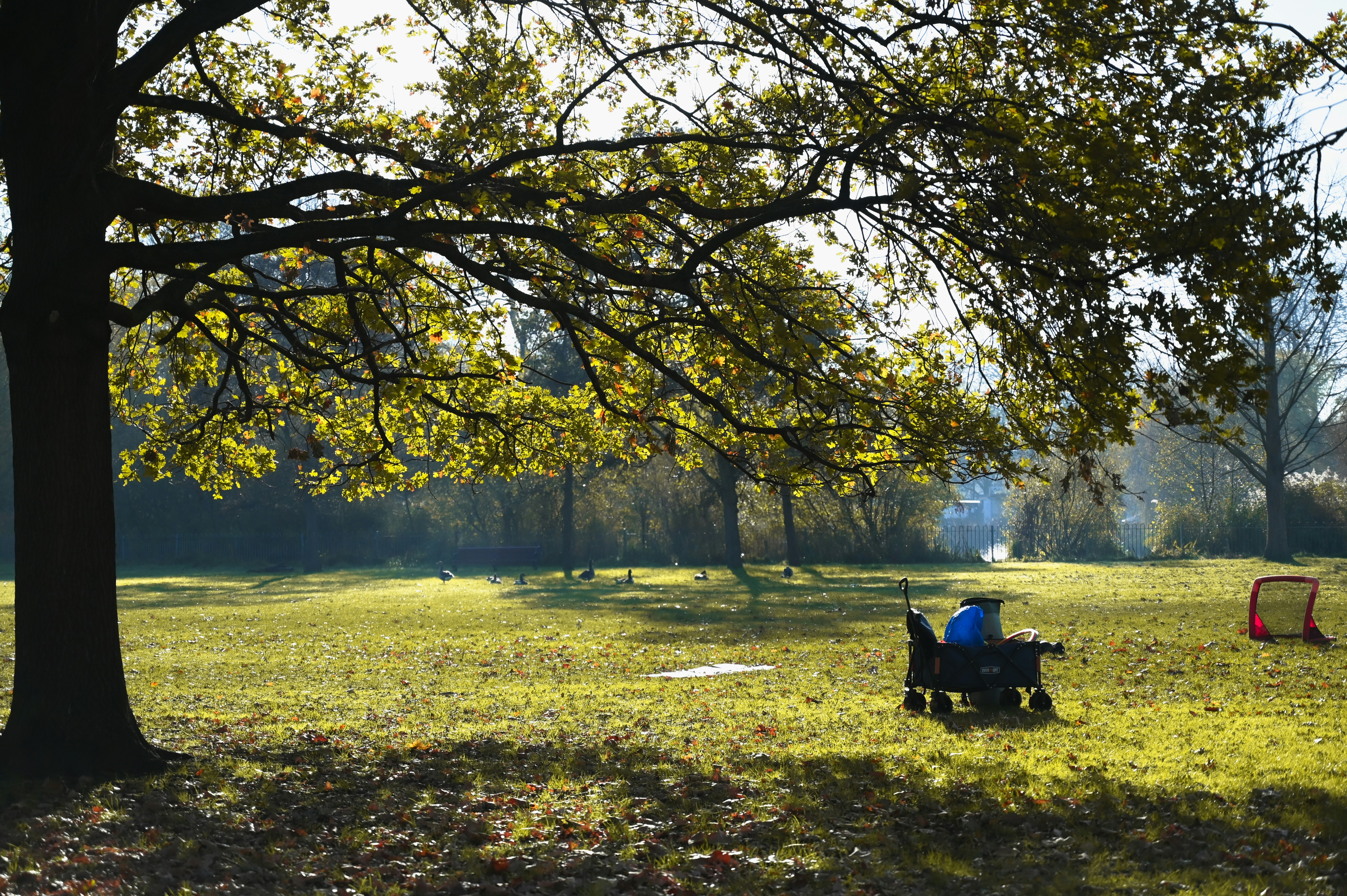 Photo by samirshadab10