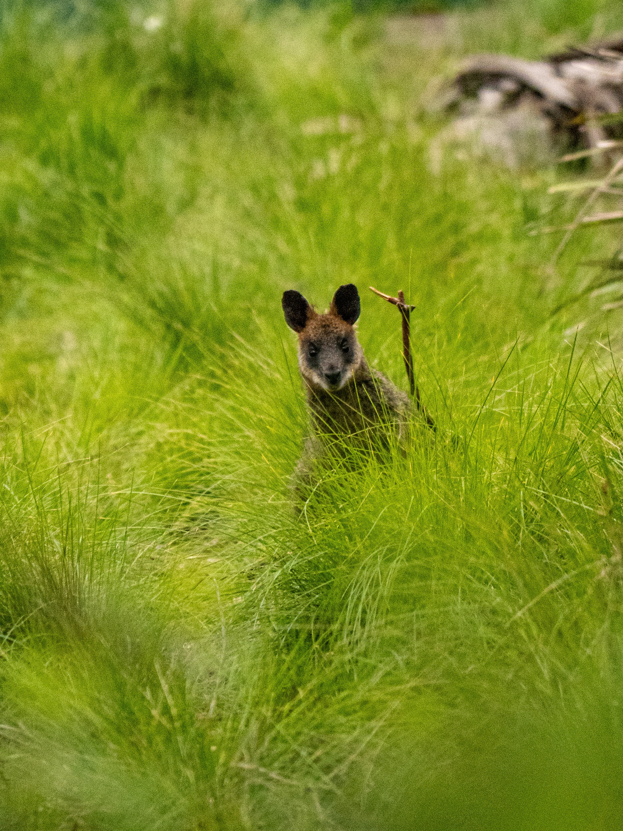 Photo by traces_du_monde