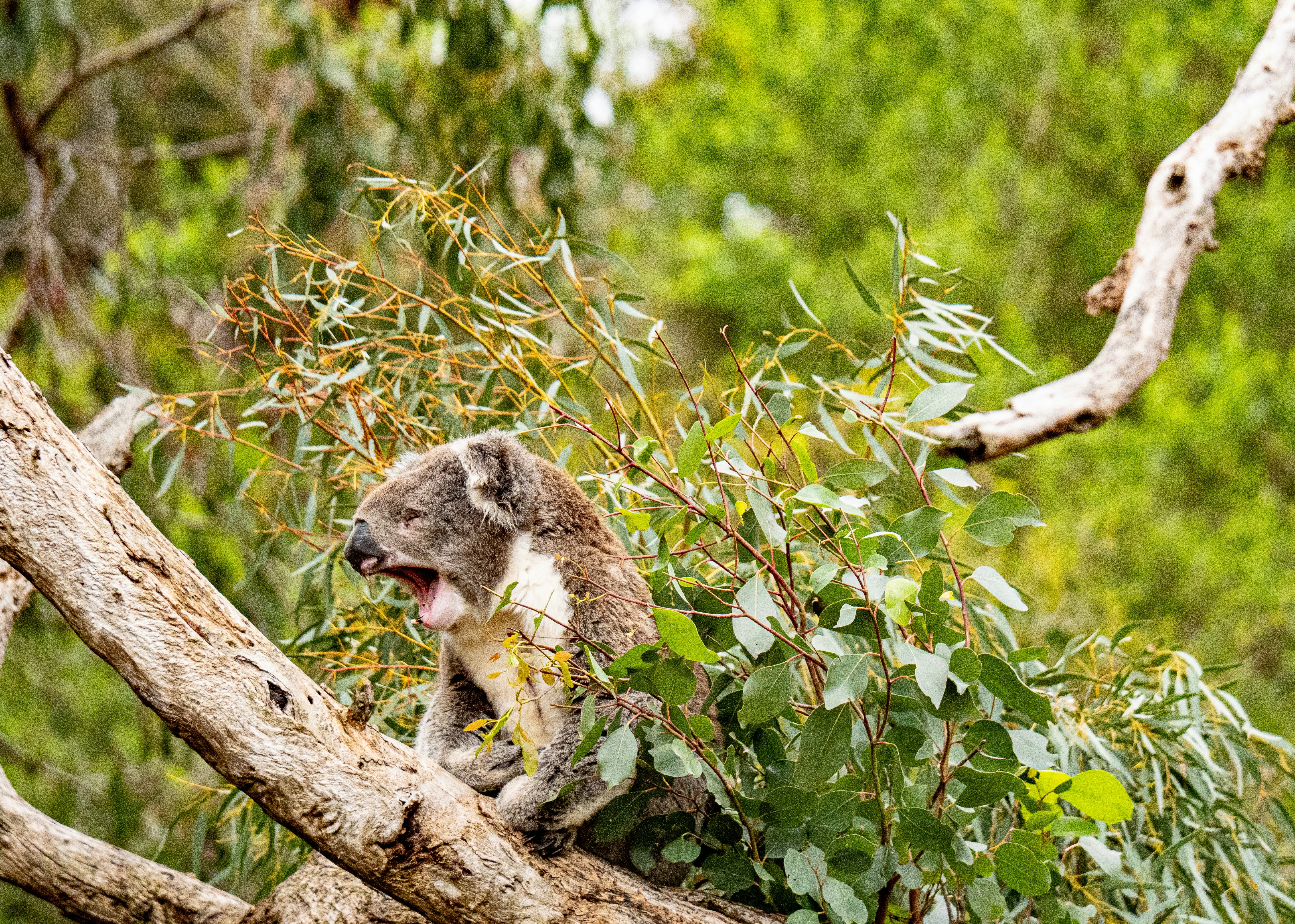 Photo by traces_du_monde