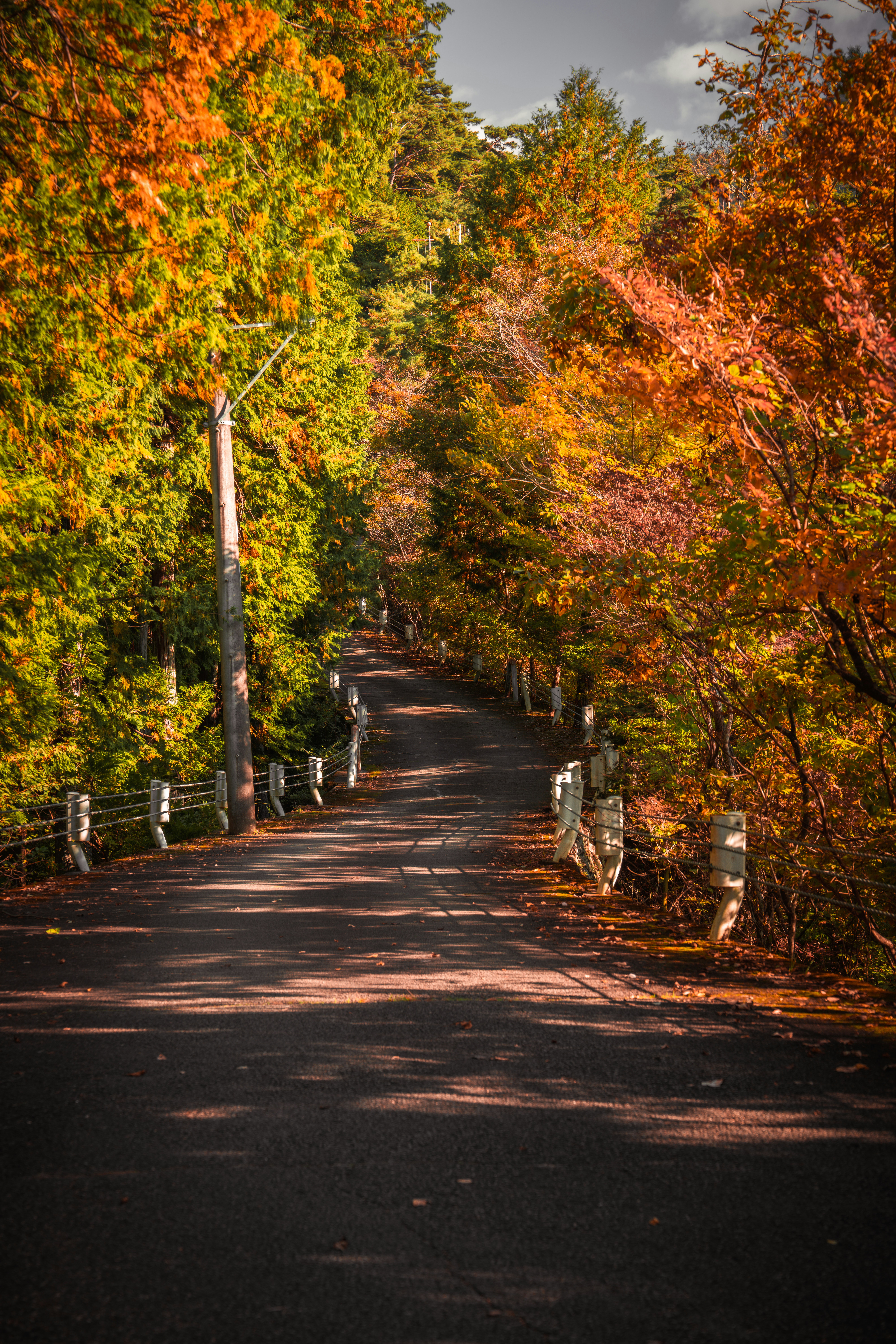 Photo by ryusei_0825