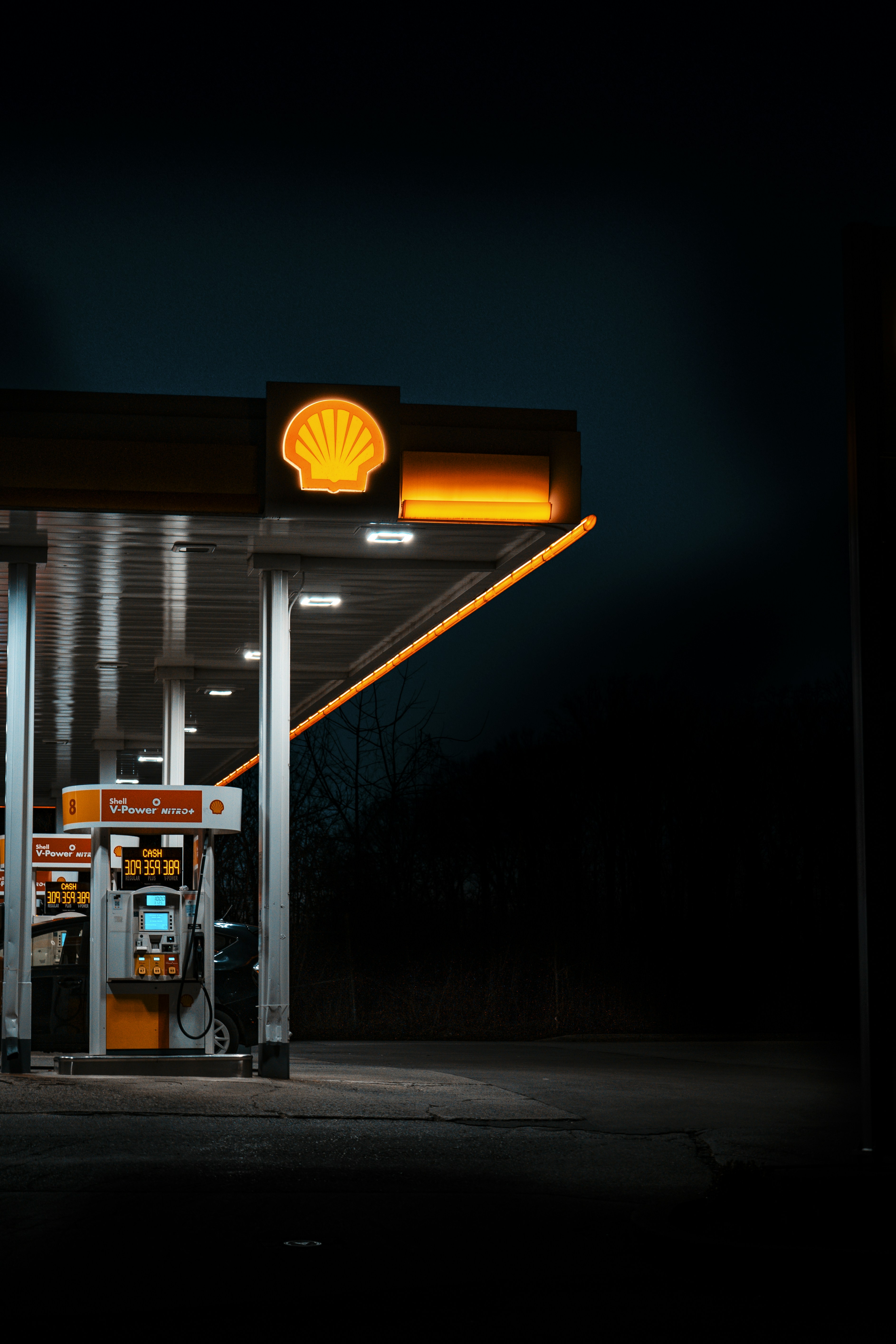 Photo by davidzumpephotography