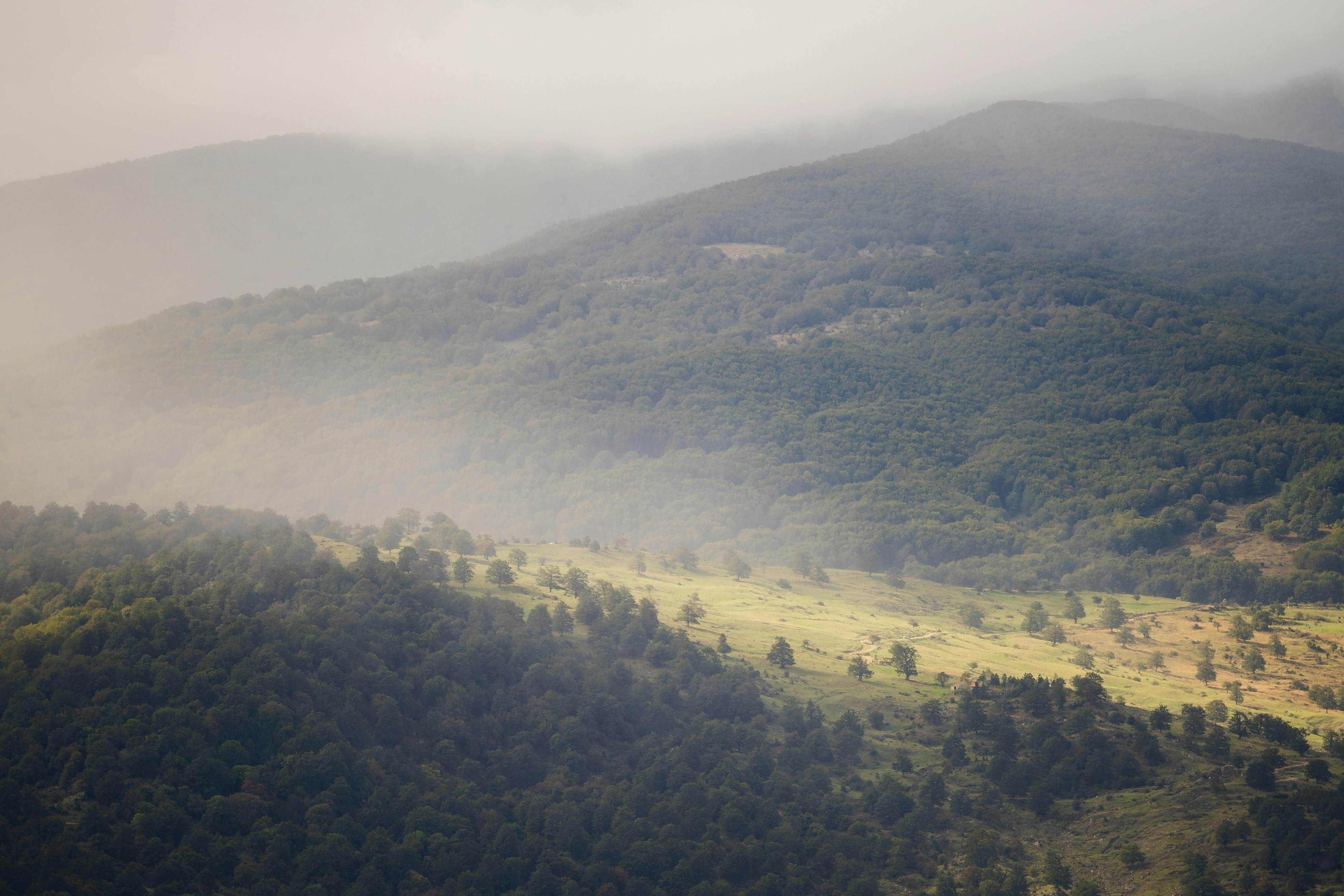 Photo by marcozzolo90