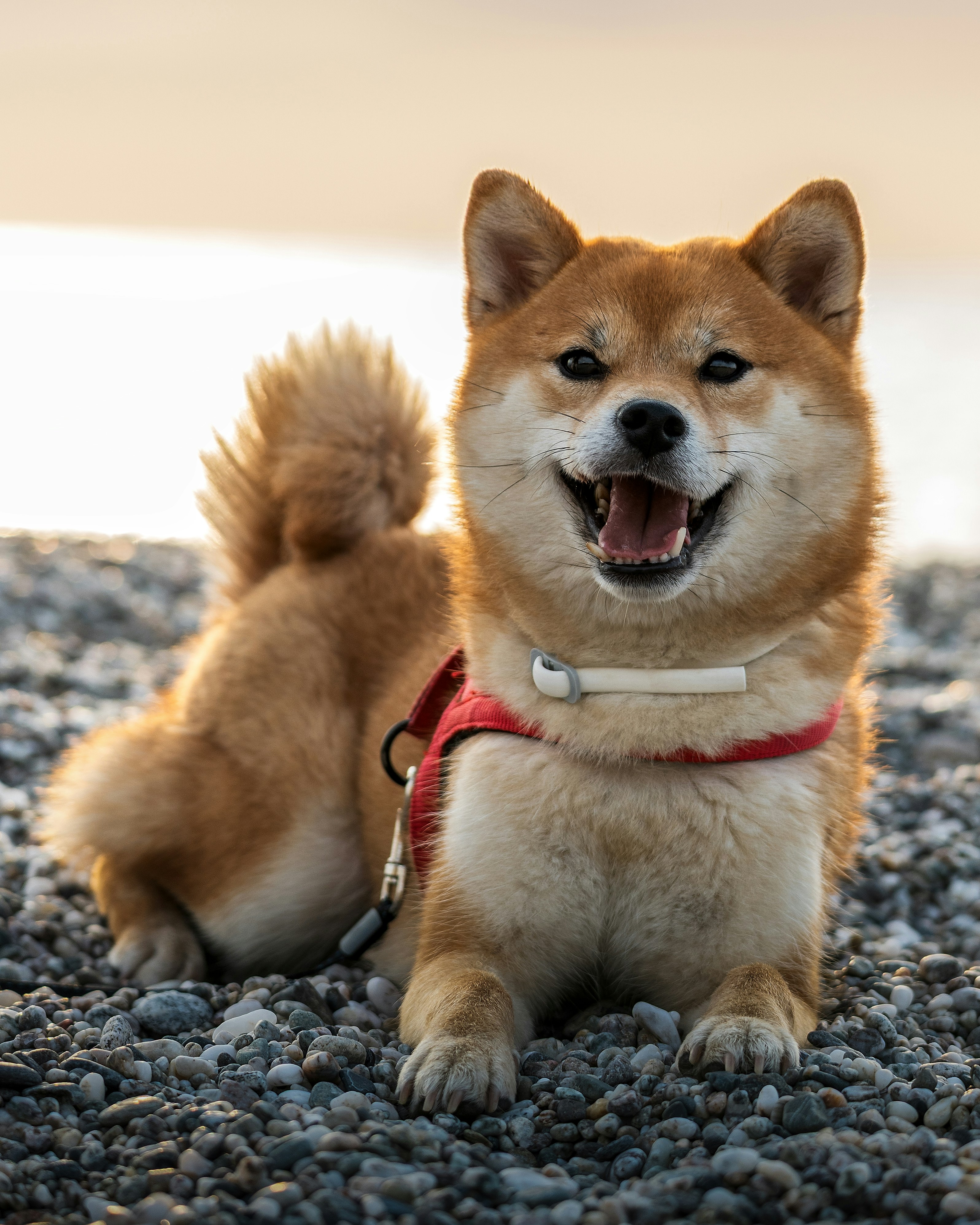 Photo by marcozzolo90