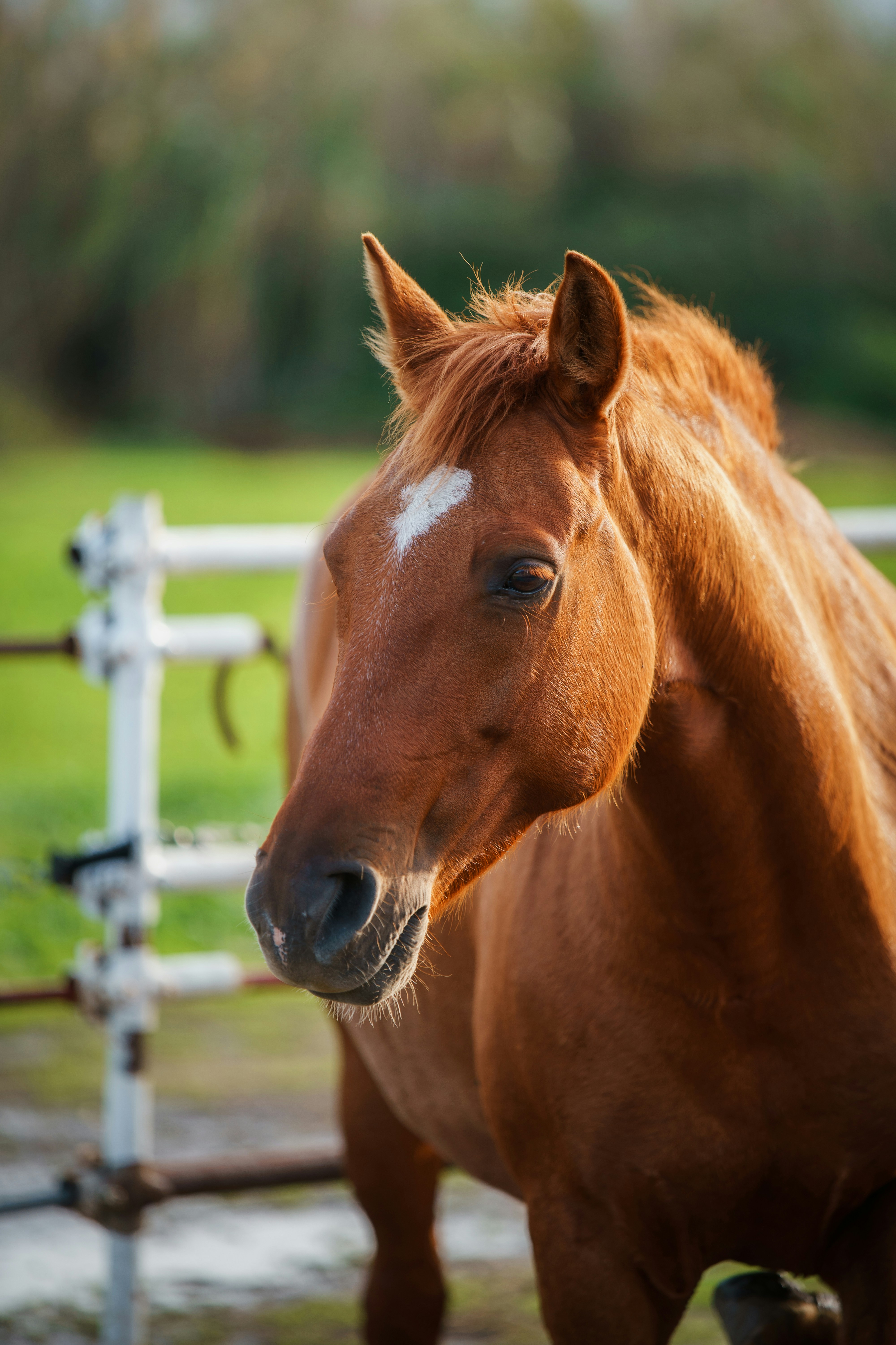 Photo by marcozzolo90