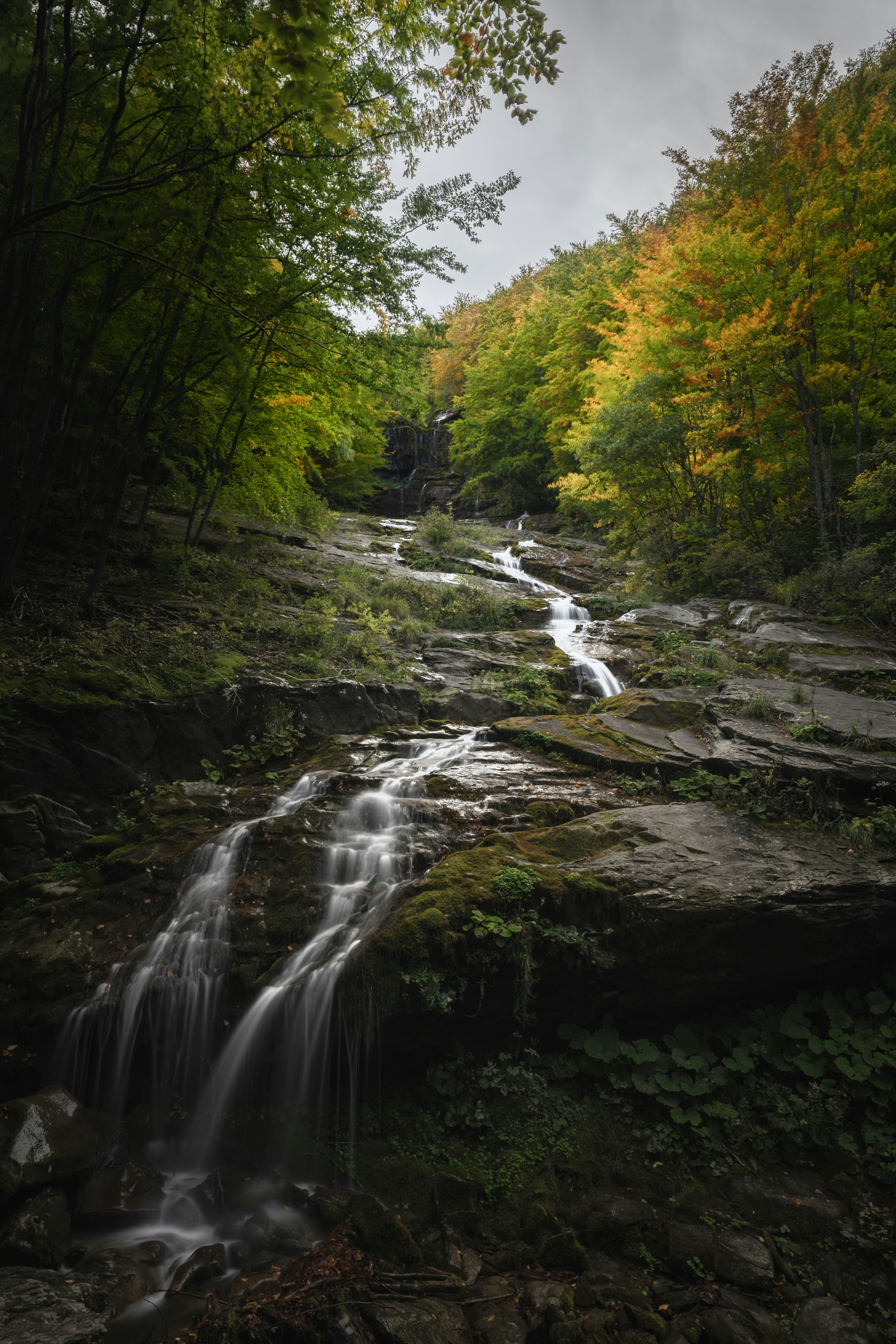 Photo by marcozzolo90