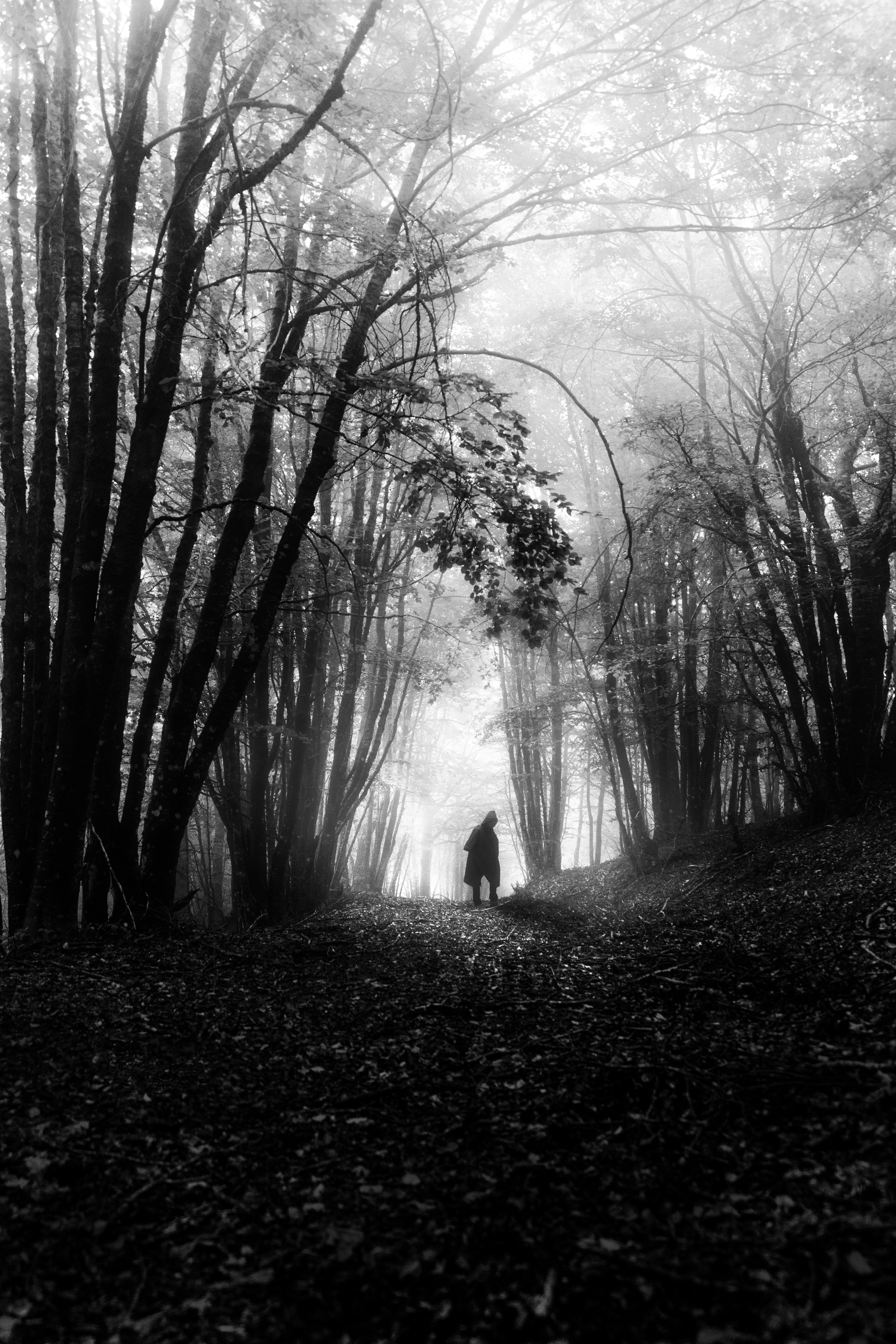 Photo by marcozzolo90