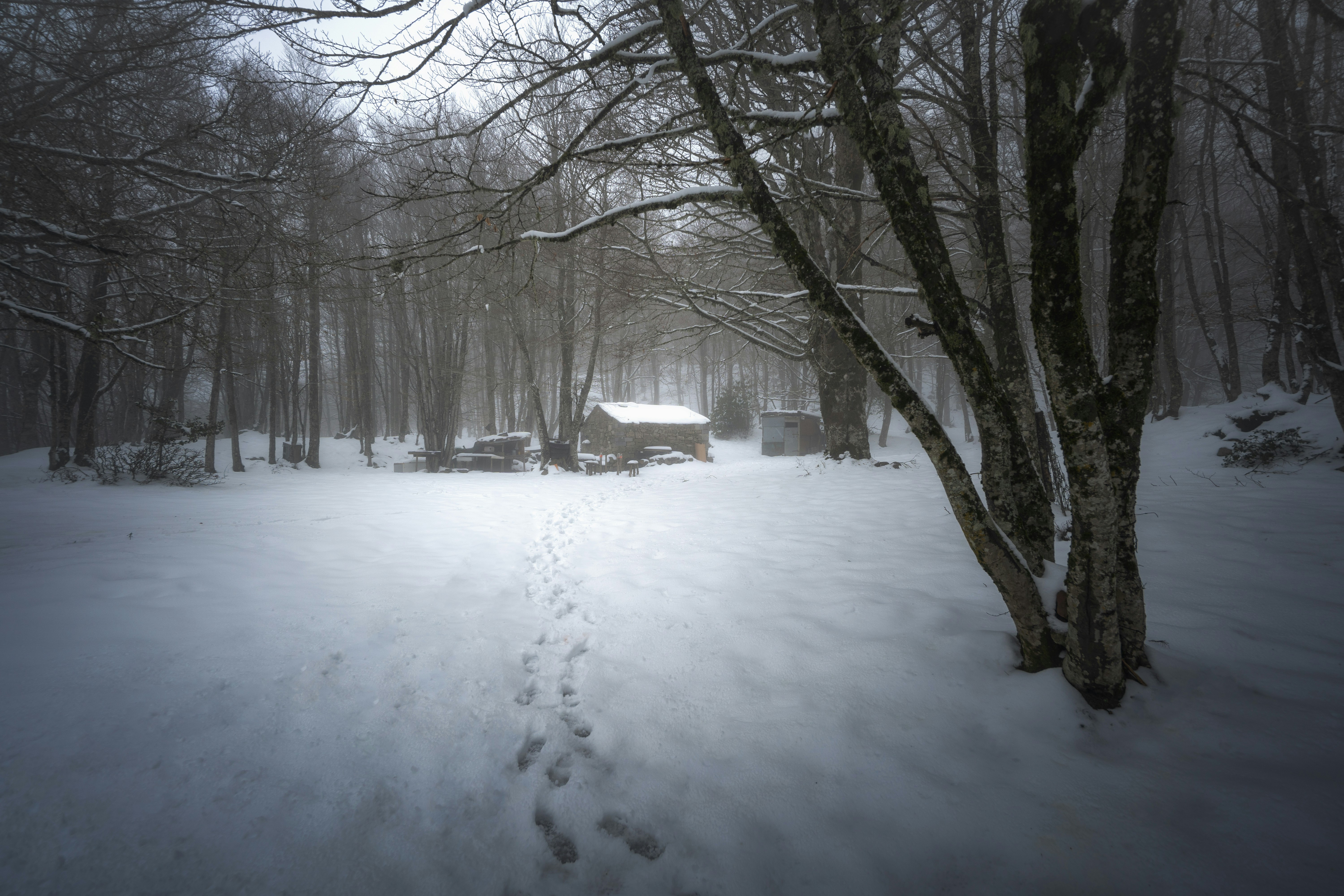 Photo by marcozzolo90