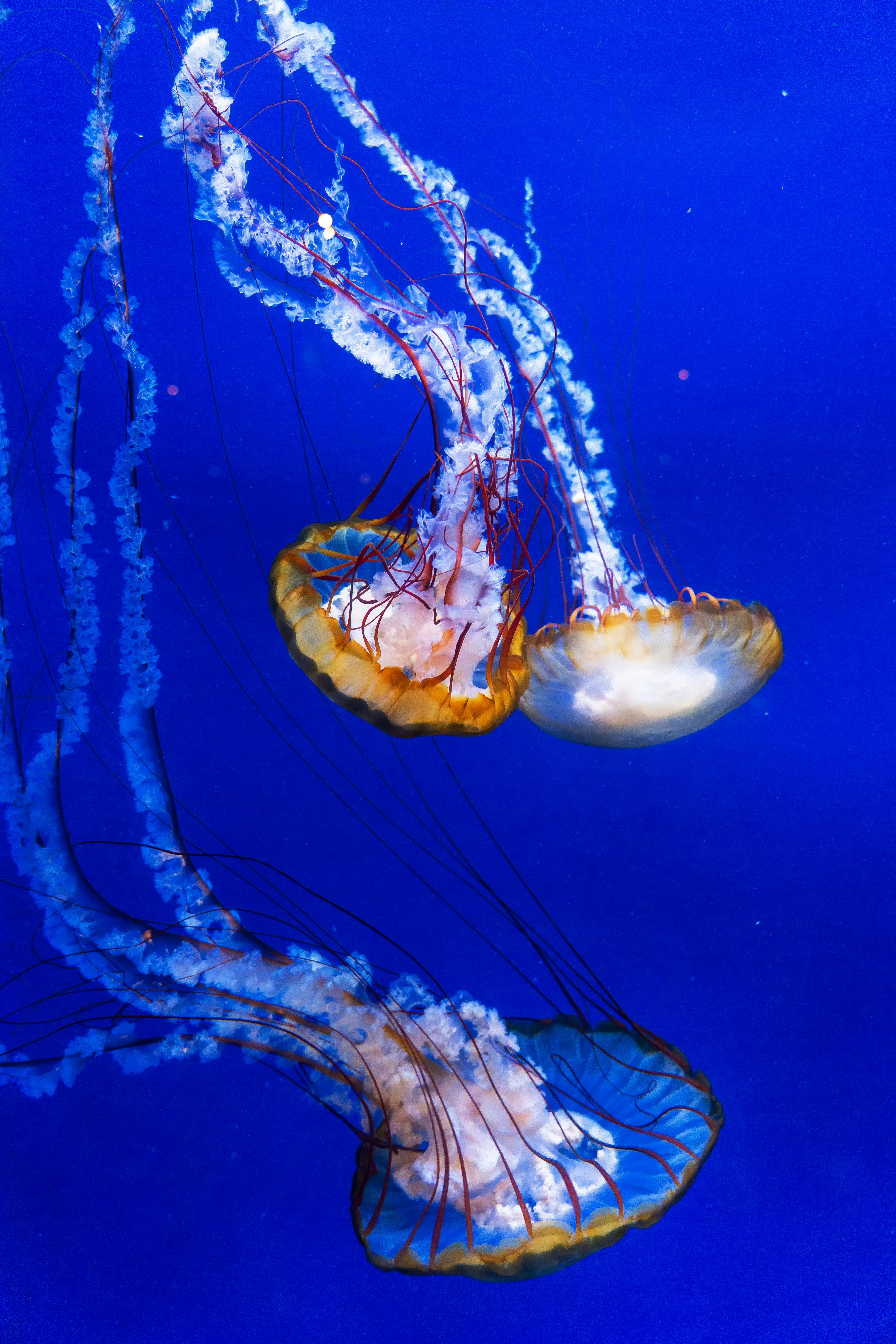 Photo by marcozzolo90