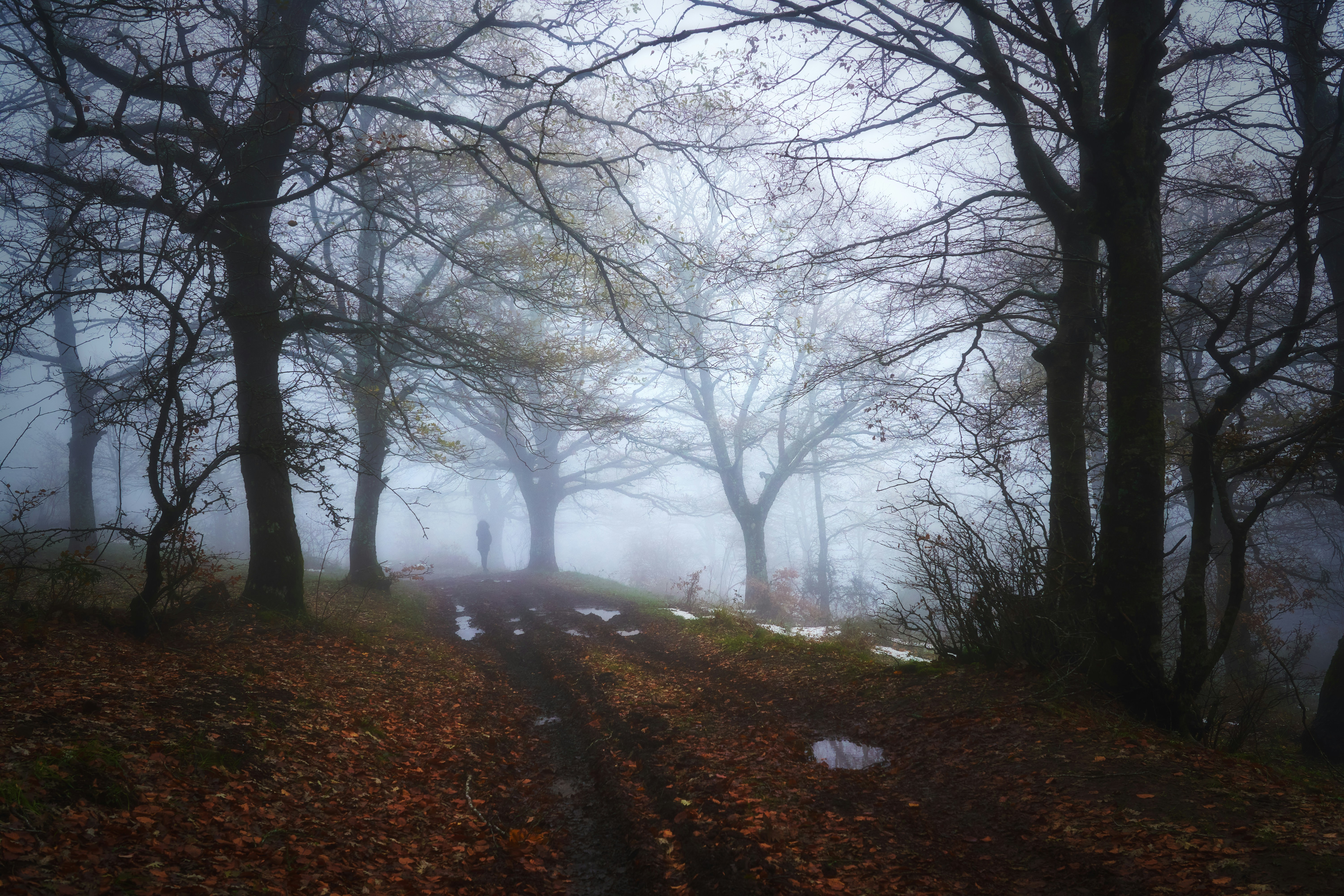 Photo by marcozzolo90