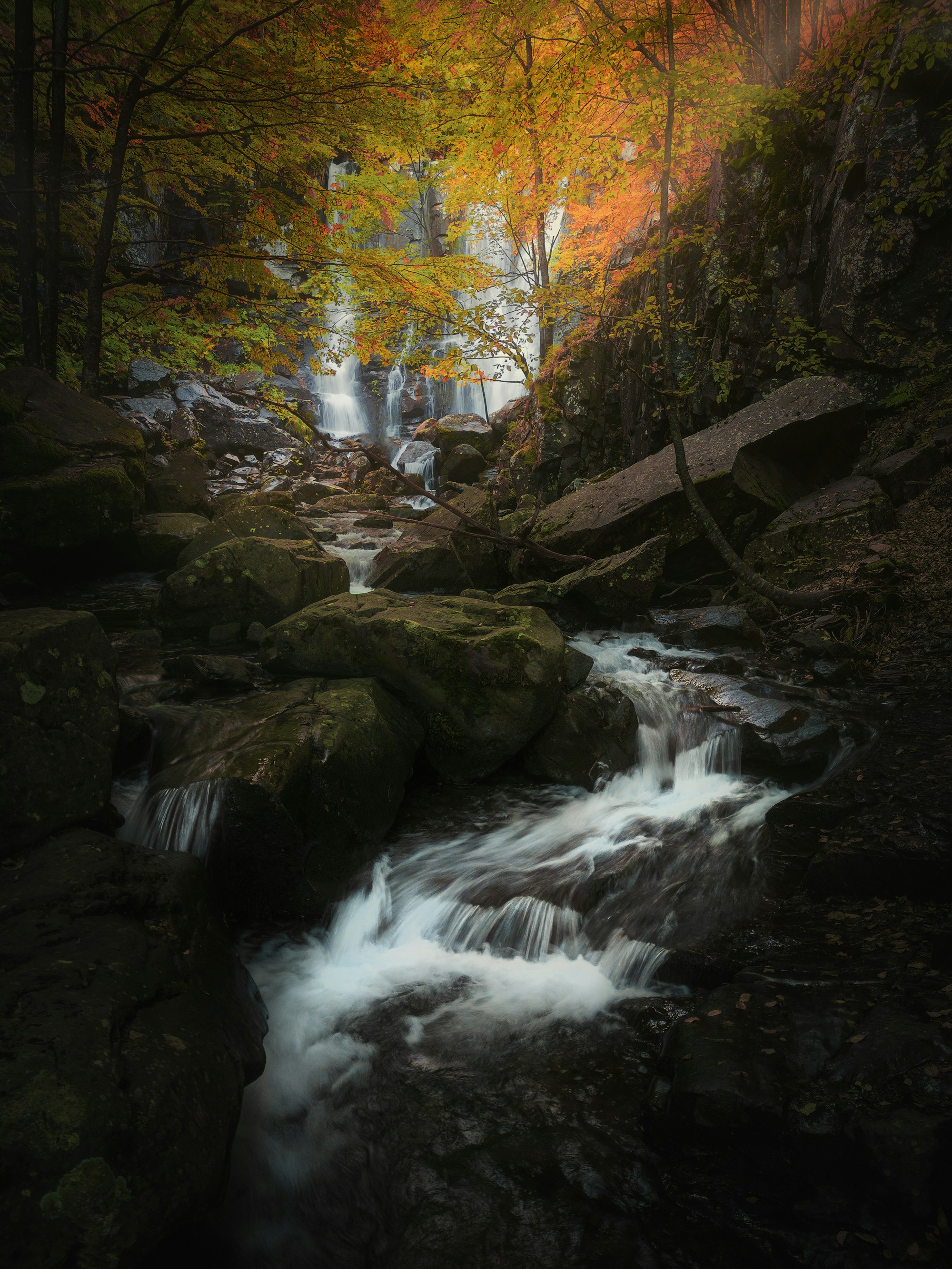 Photo by marcozzolo90