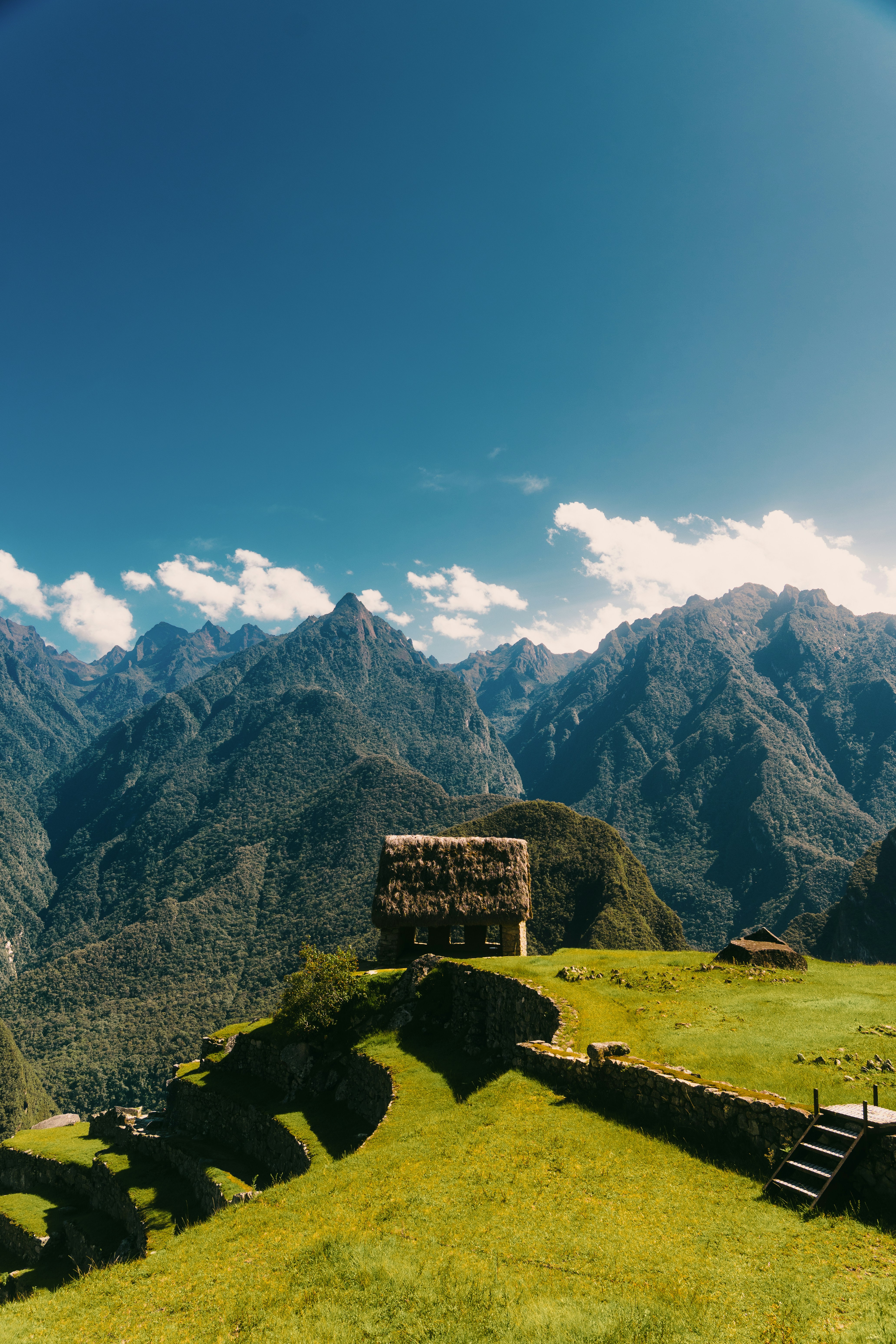 Guided Ayahuasca Retreats With Modern Eco-Lodges