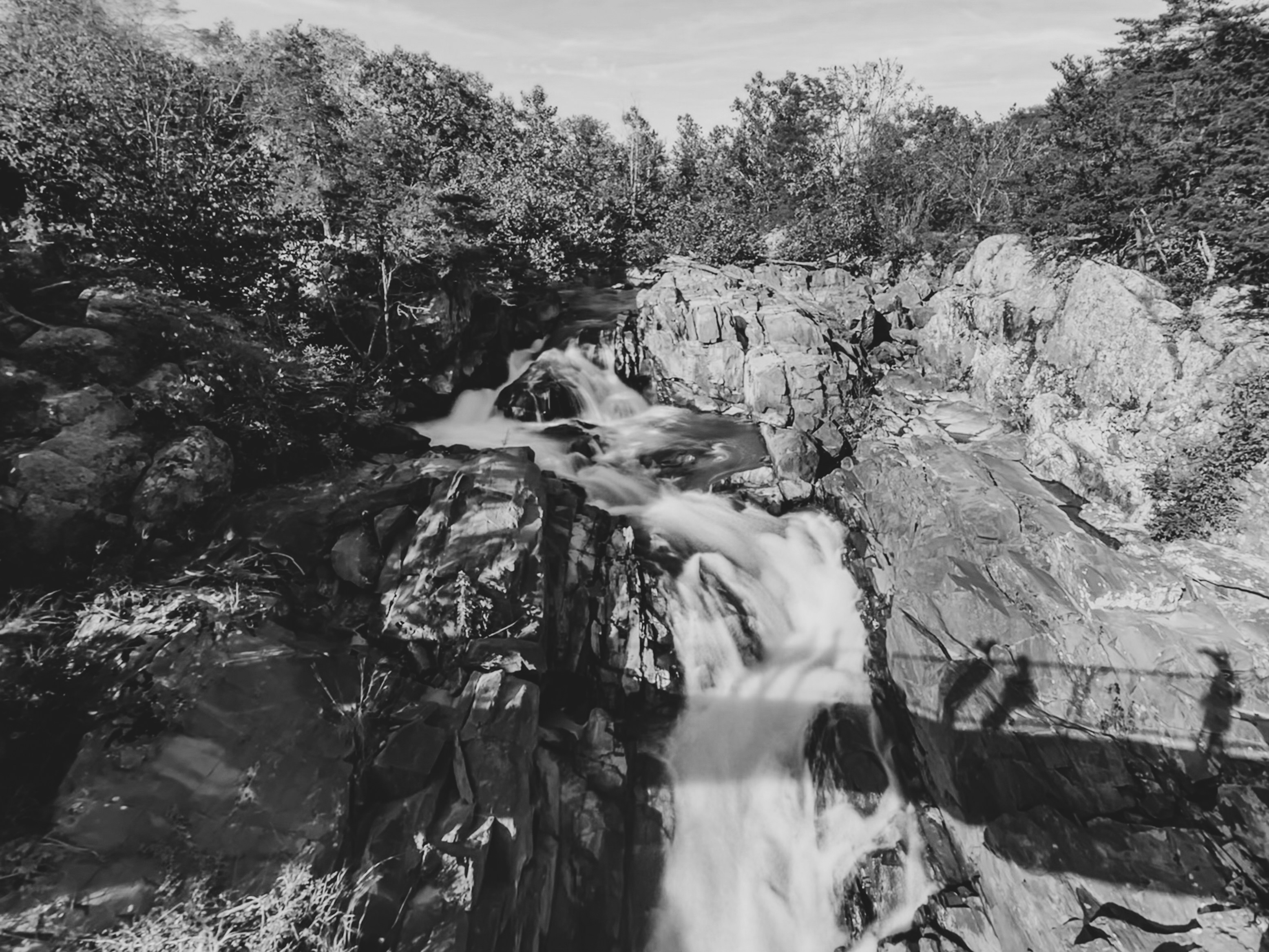 Photo by antovilardo