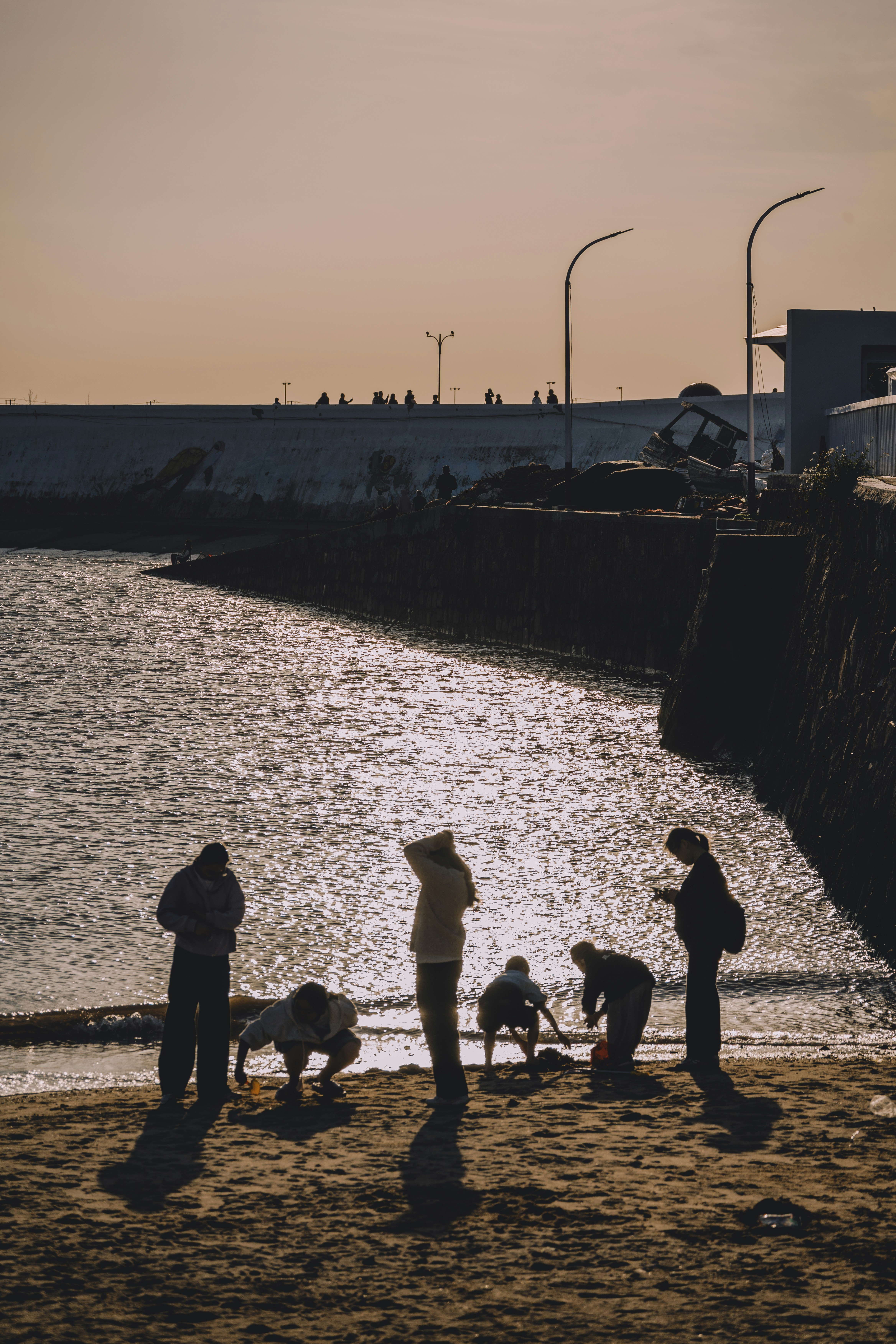 Silhouettes of people on a beach at sunset.