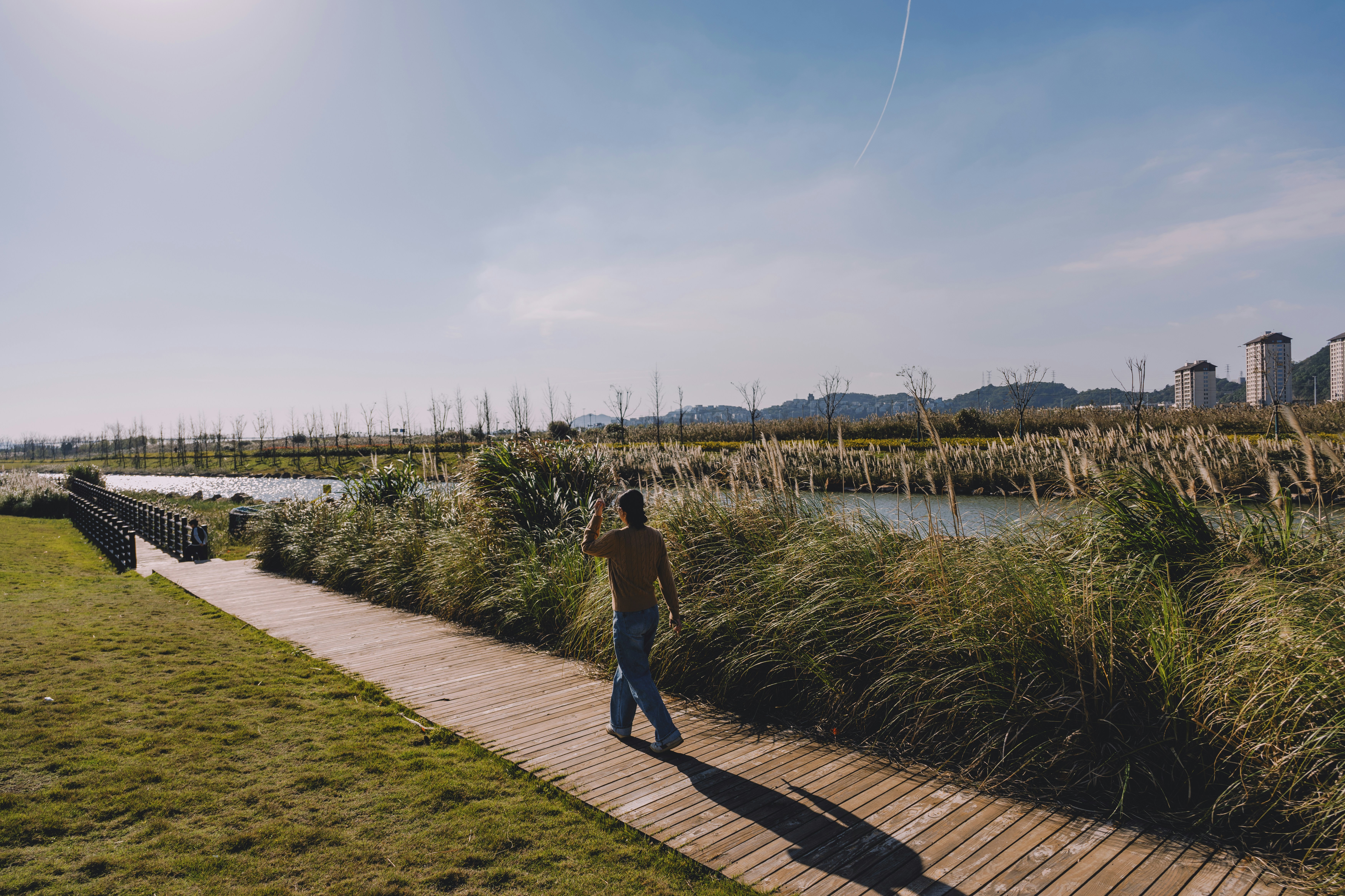 Person walking on a wooden path near marshland.