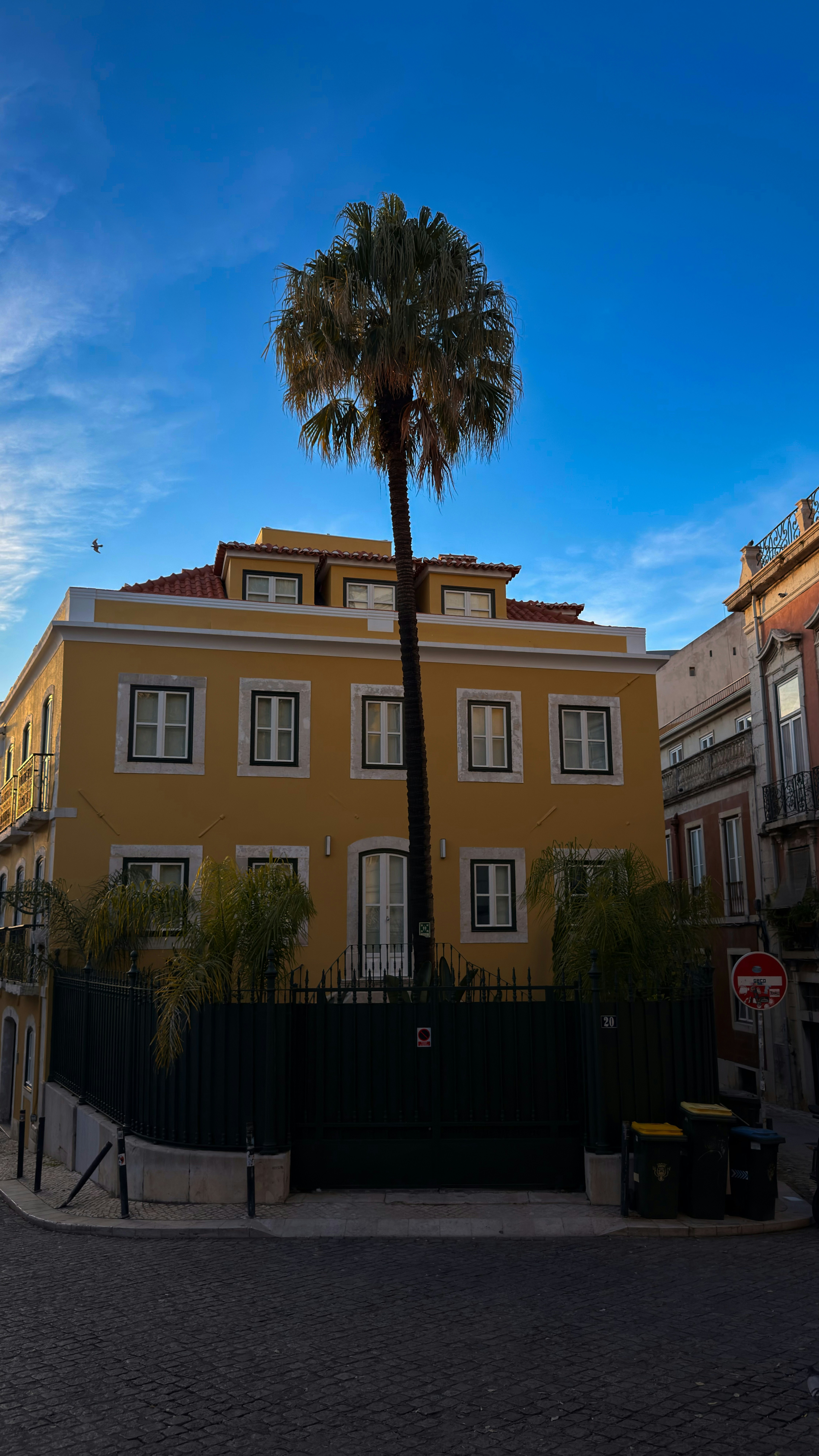 Yellow building with a tall palm tree and blue sky.