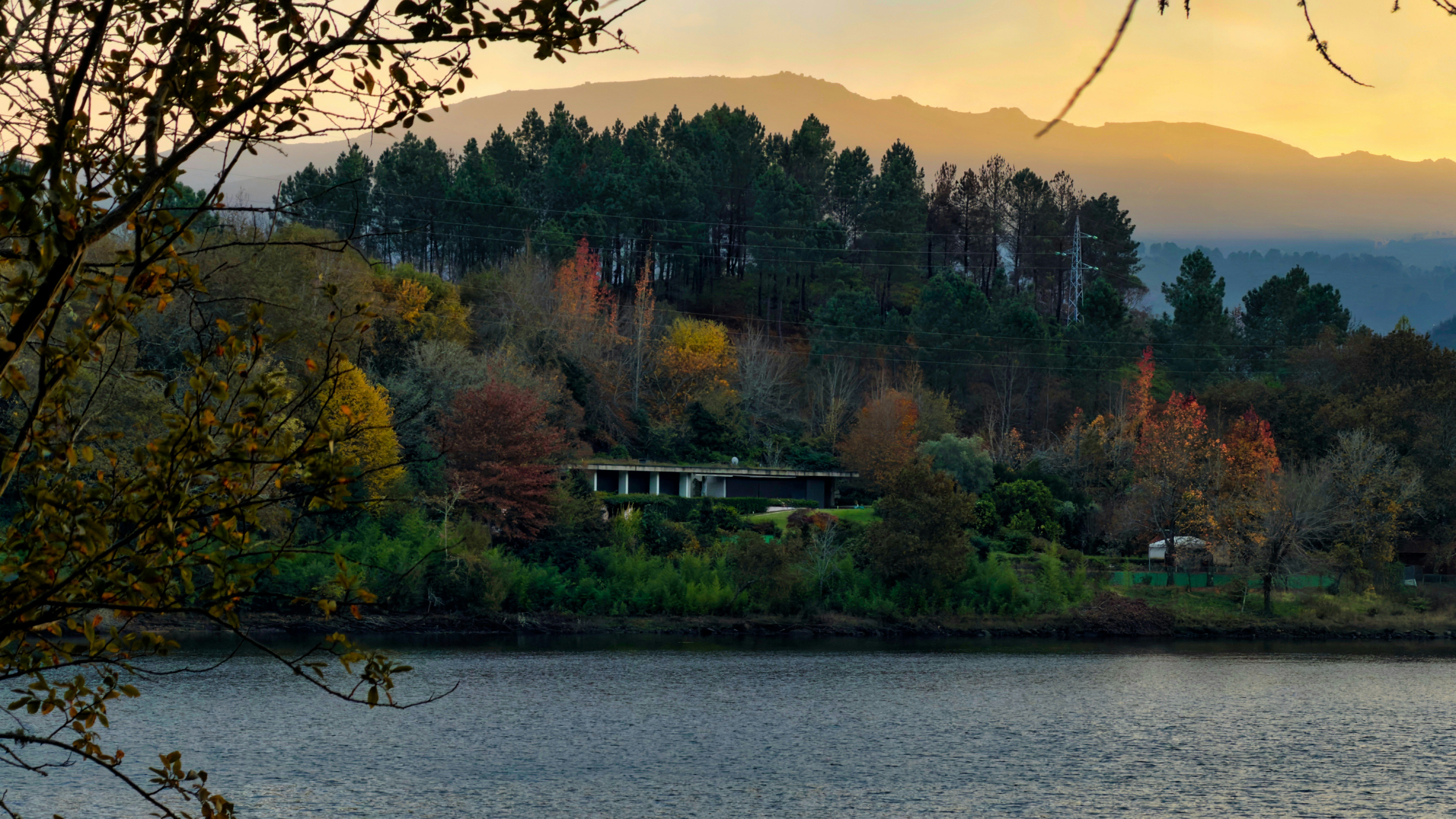 Photo by eddiepipocas