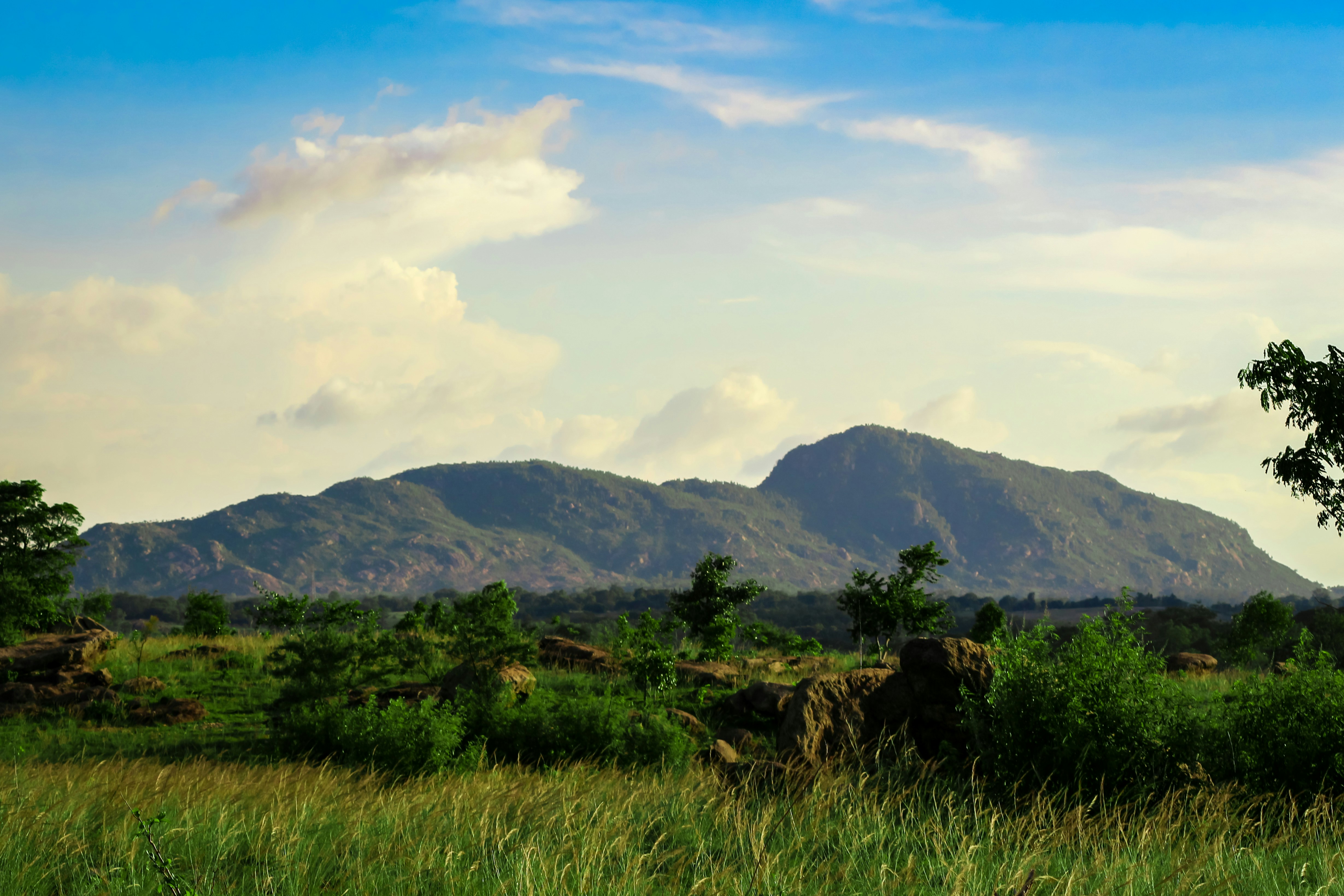 Photo by itsbiswanath