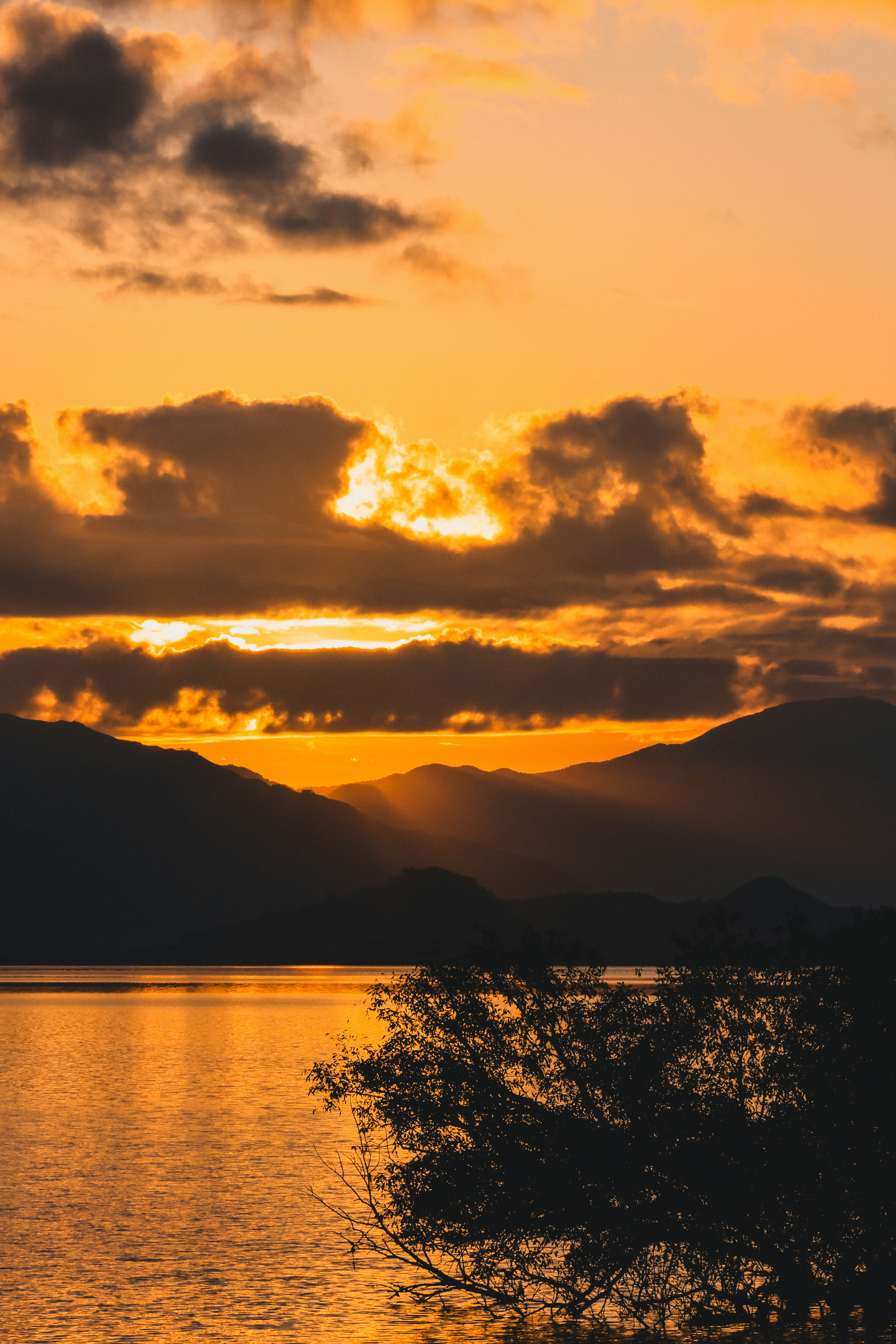 Photo by dickenslin76