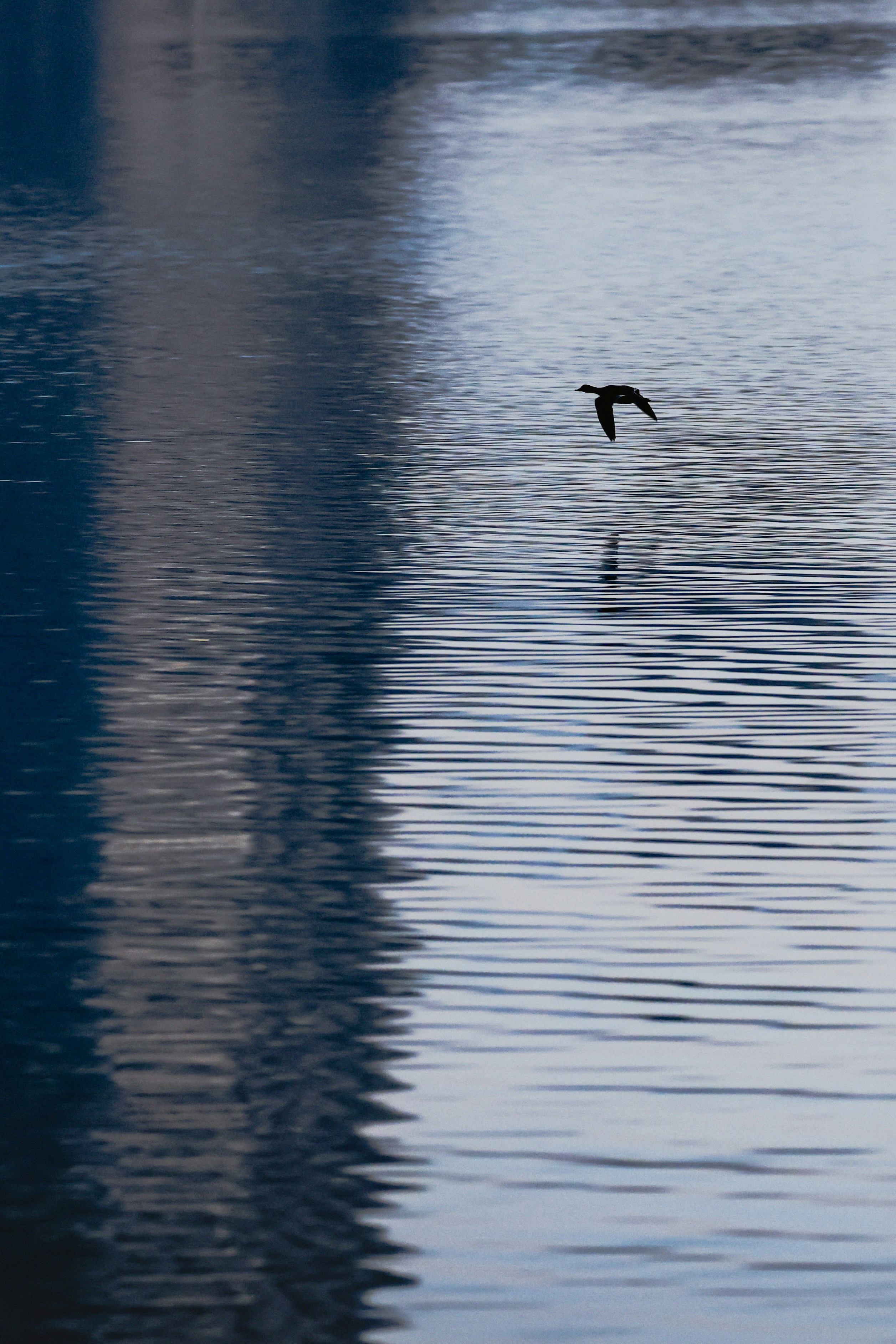 Photo by dickenslin76