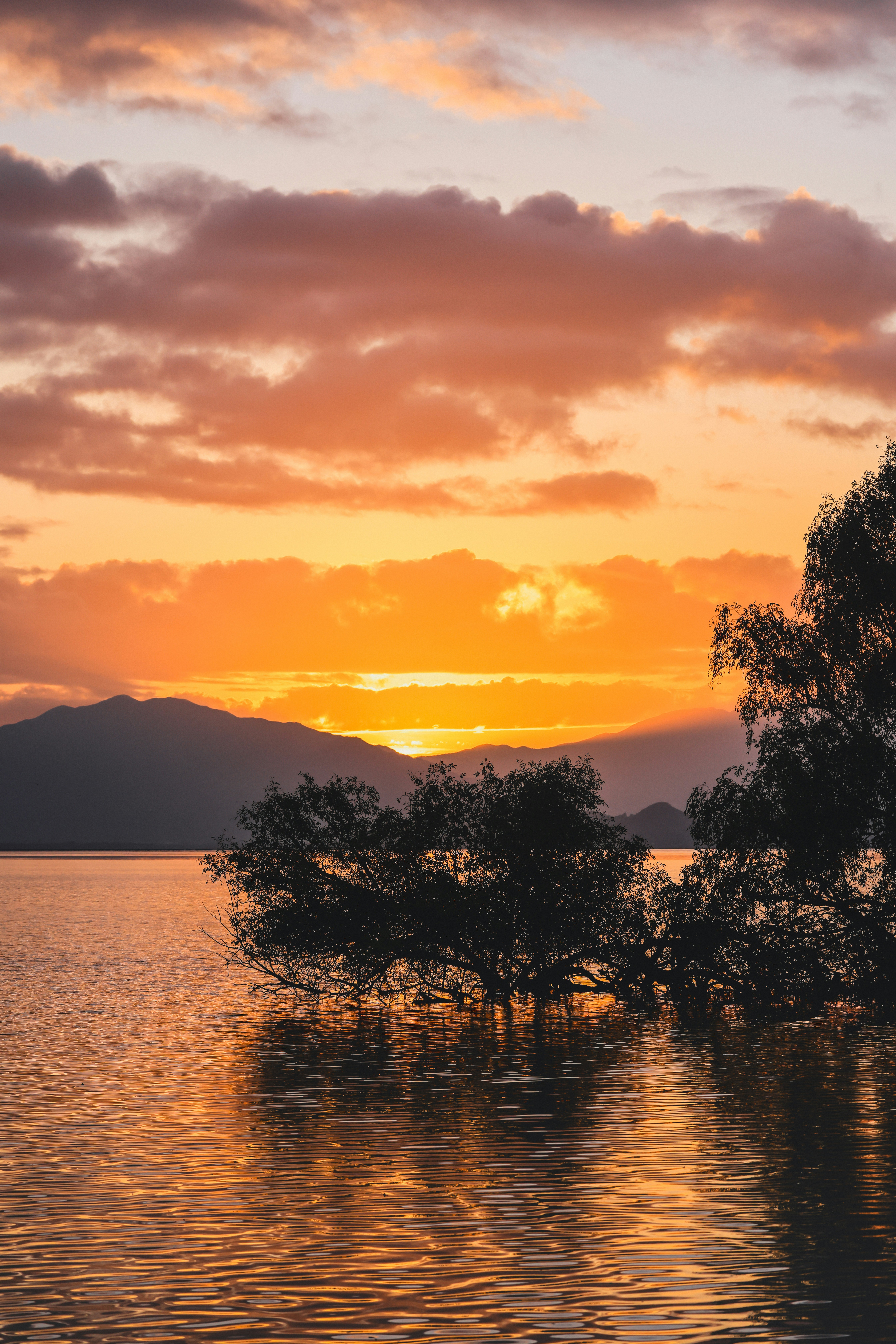 Photo by dickenslin76