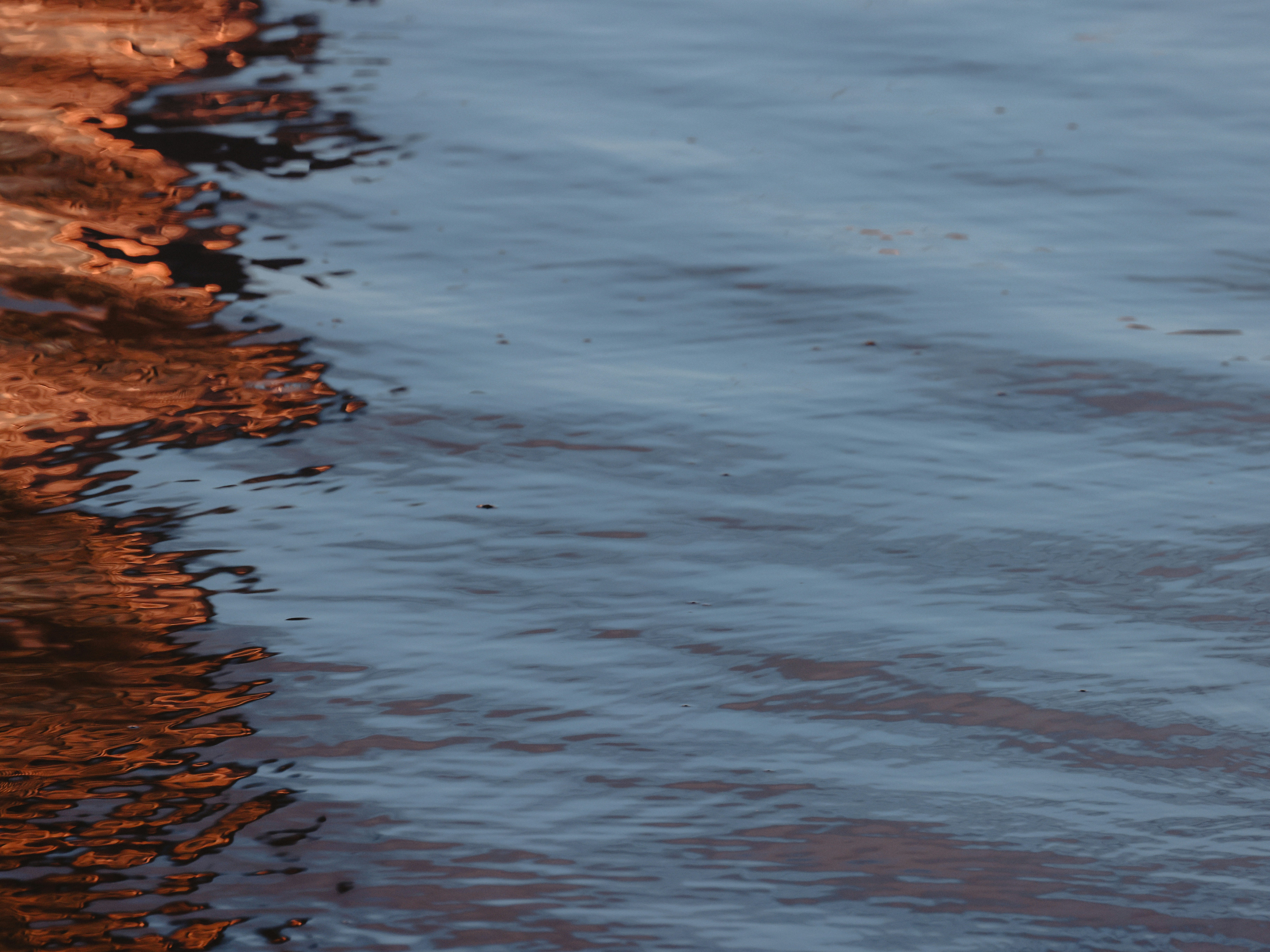 Photo by dickenslin76