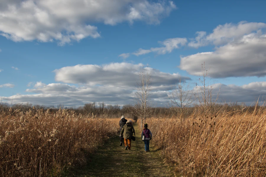 Three people walking together along a path through tall dry grass under a wide sky