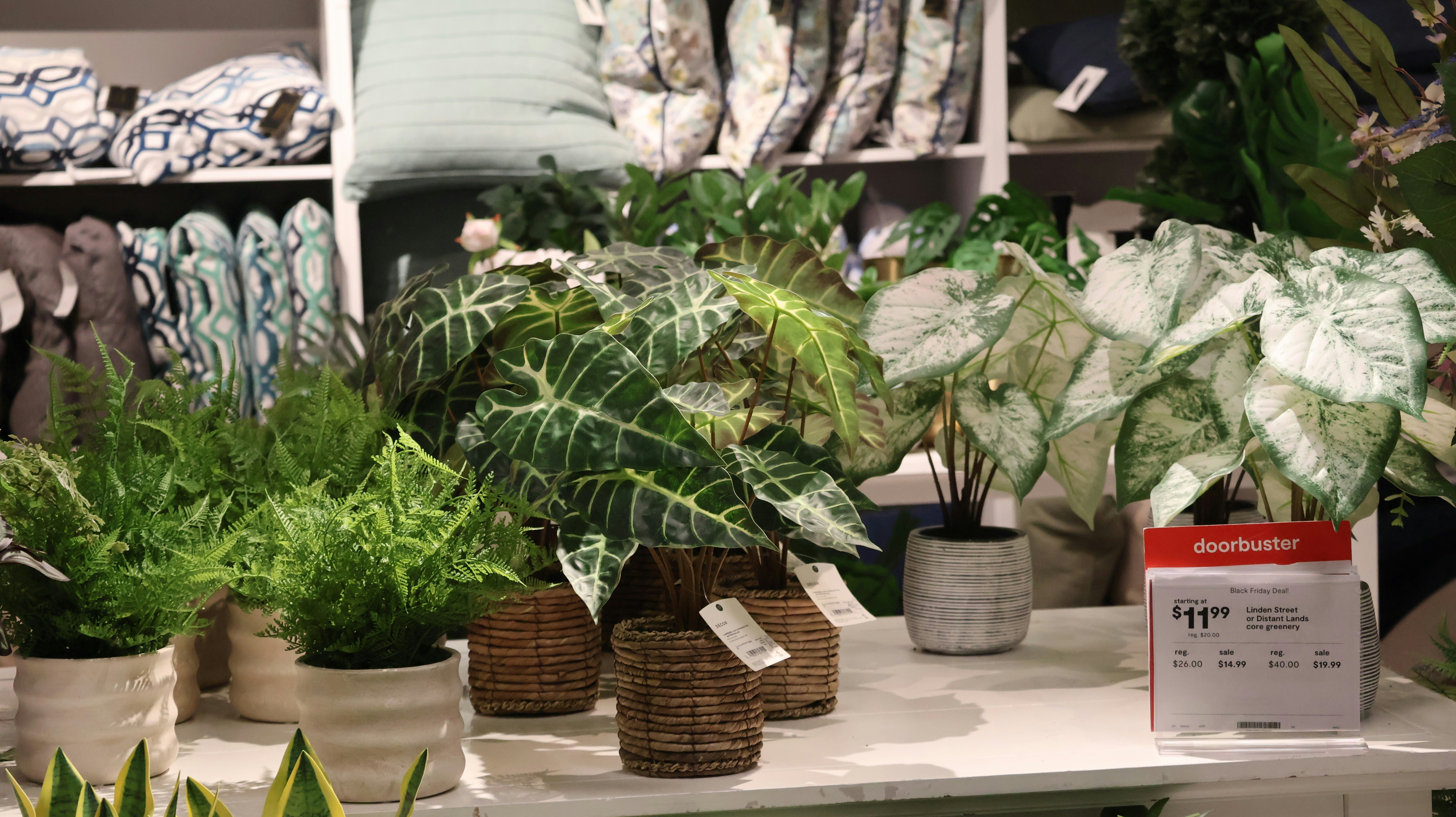 Photo by yubraj00001