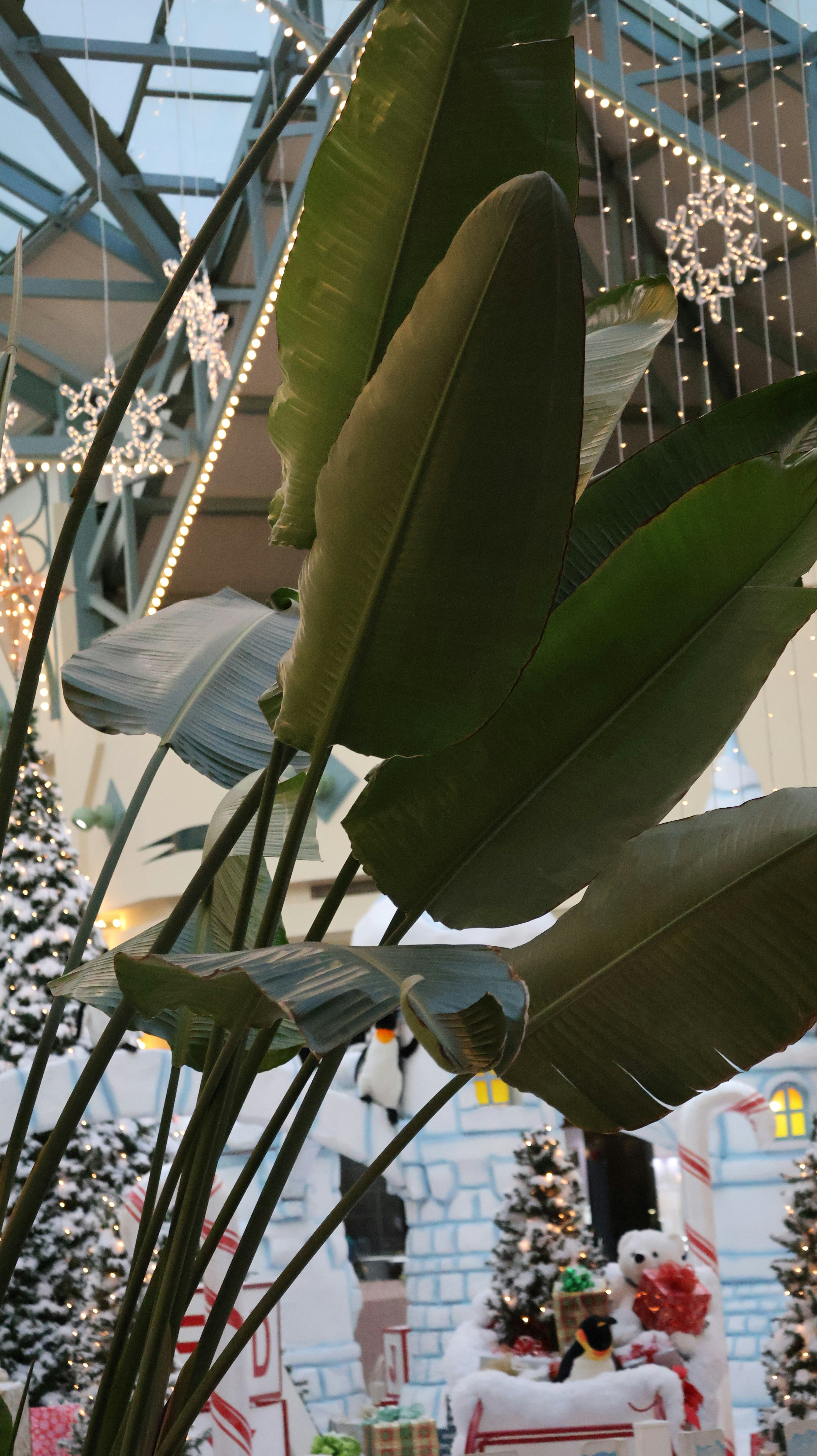 Photo by yubraj00001