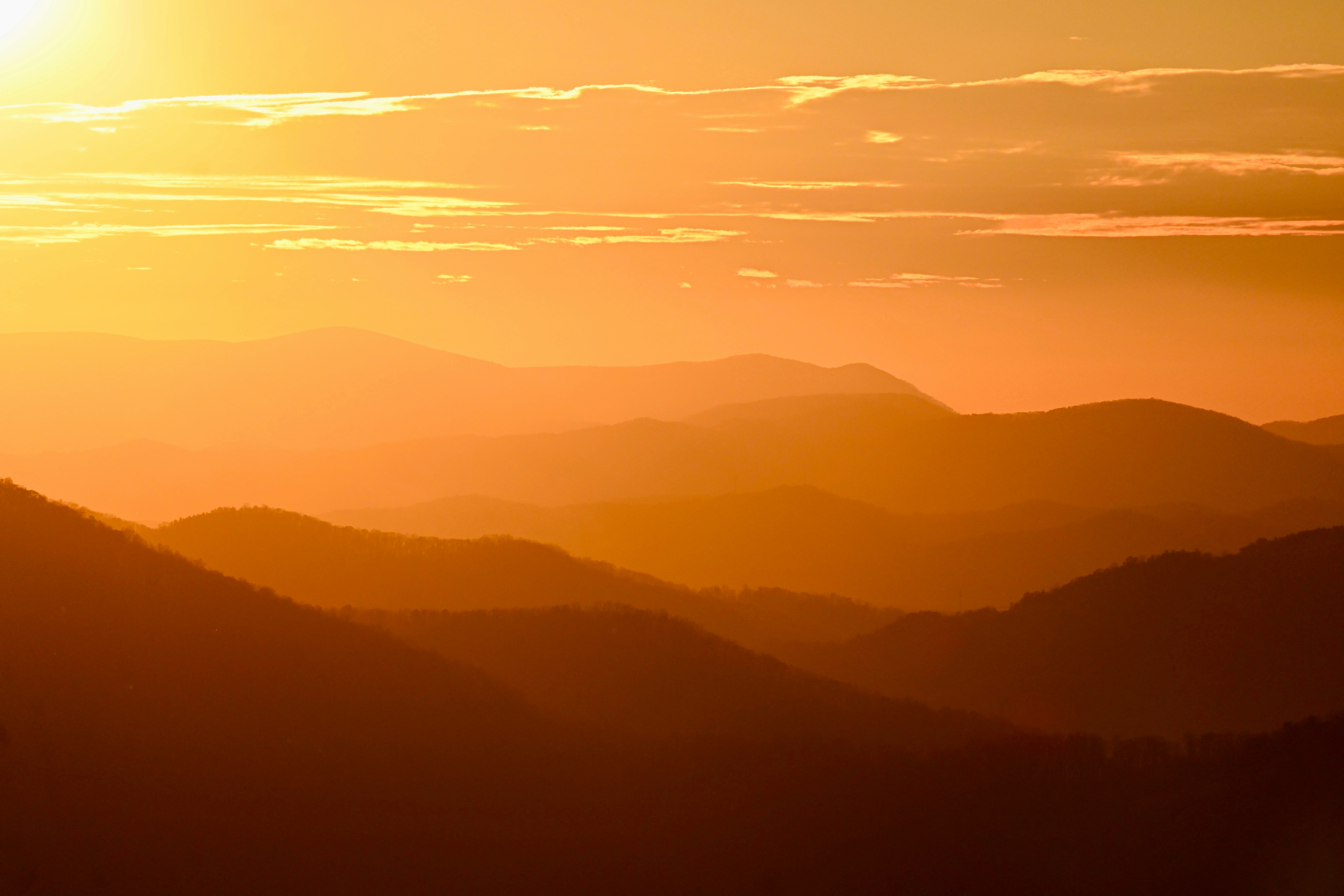 Photo by vijetha_surakanti