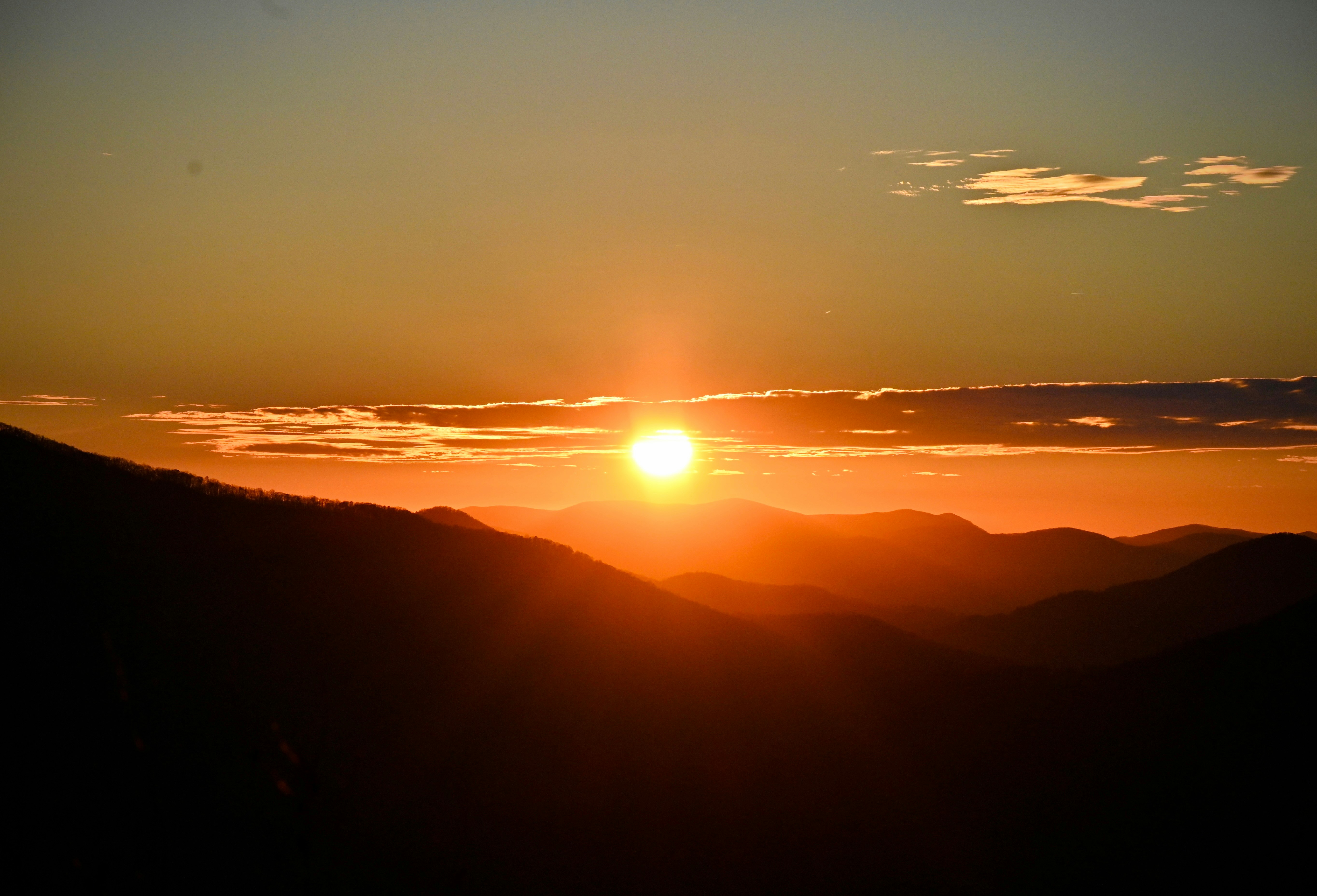 Photo by vijetha_surakanti