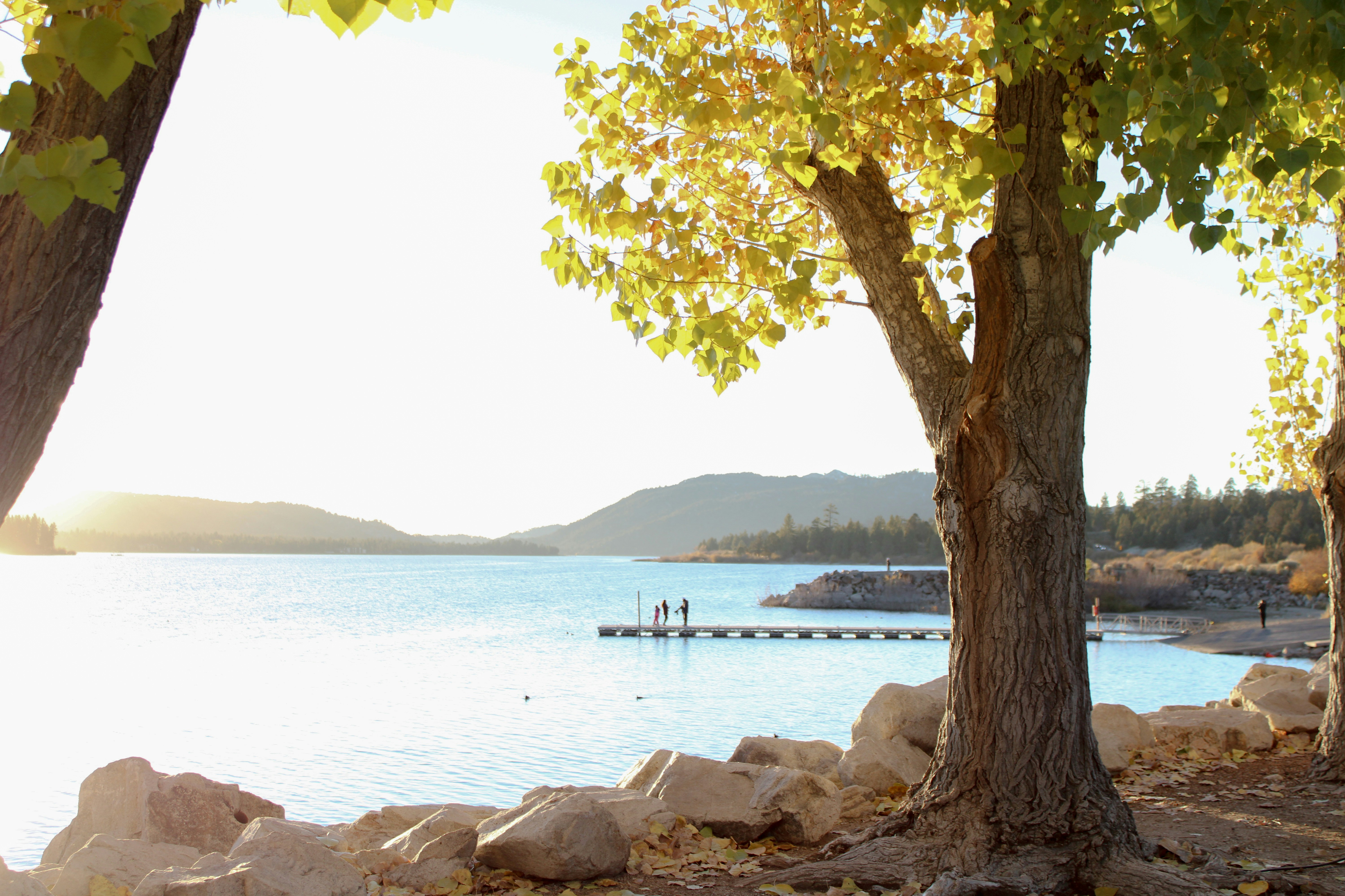 Sunny lake with trees and distant mountains 풍경 사진