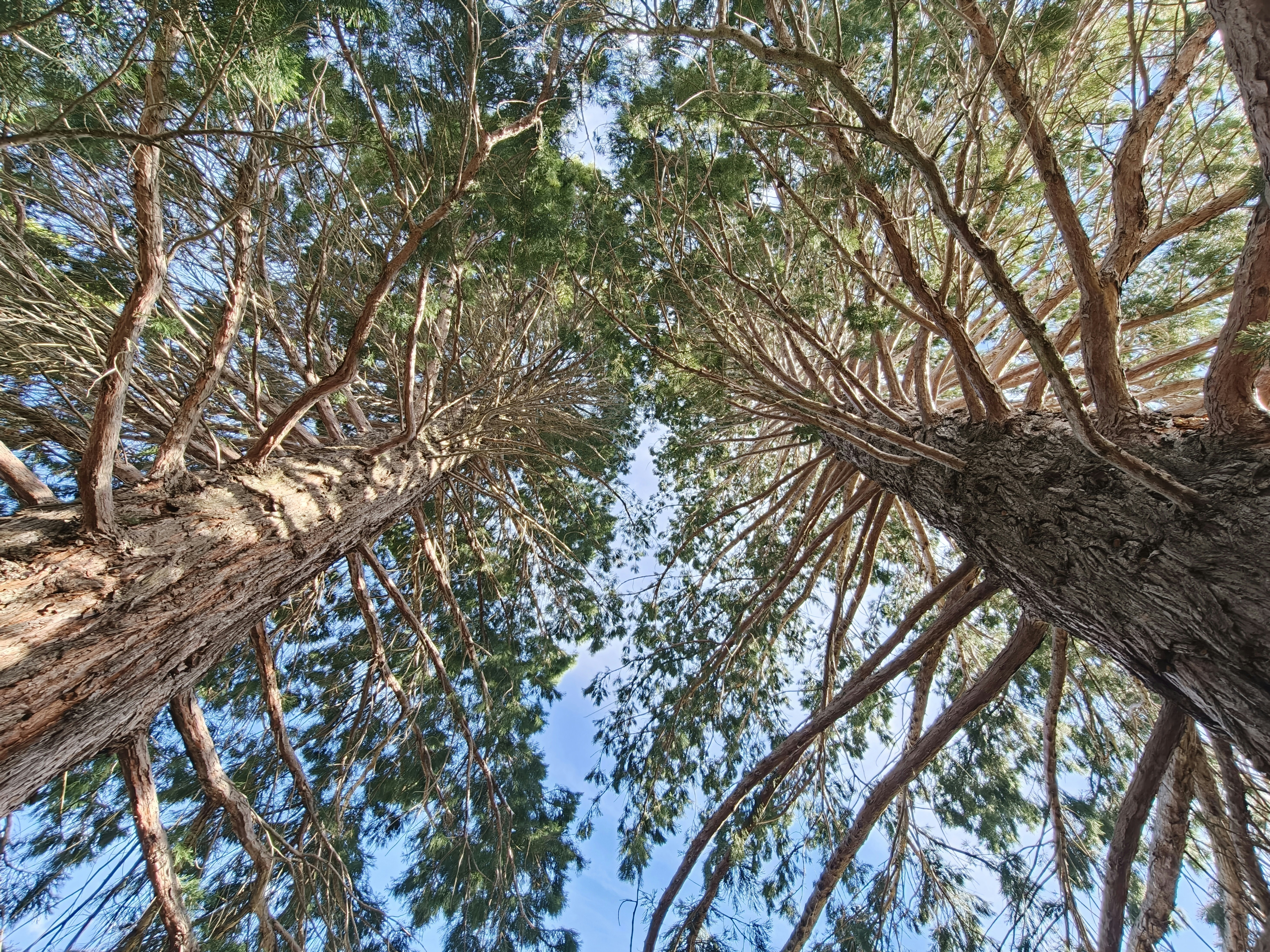 Photo by bijoyabraham