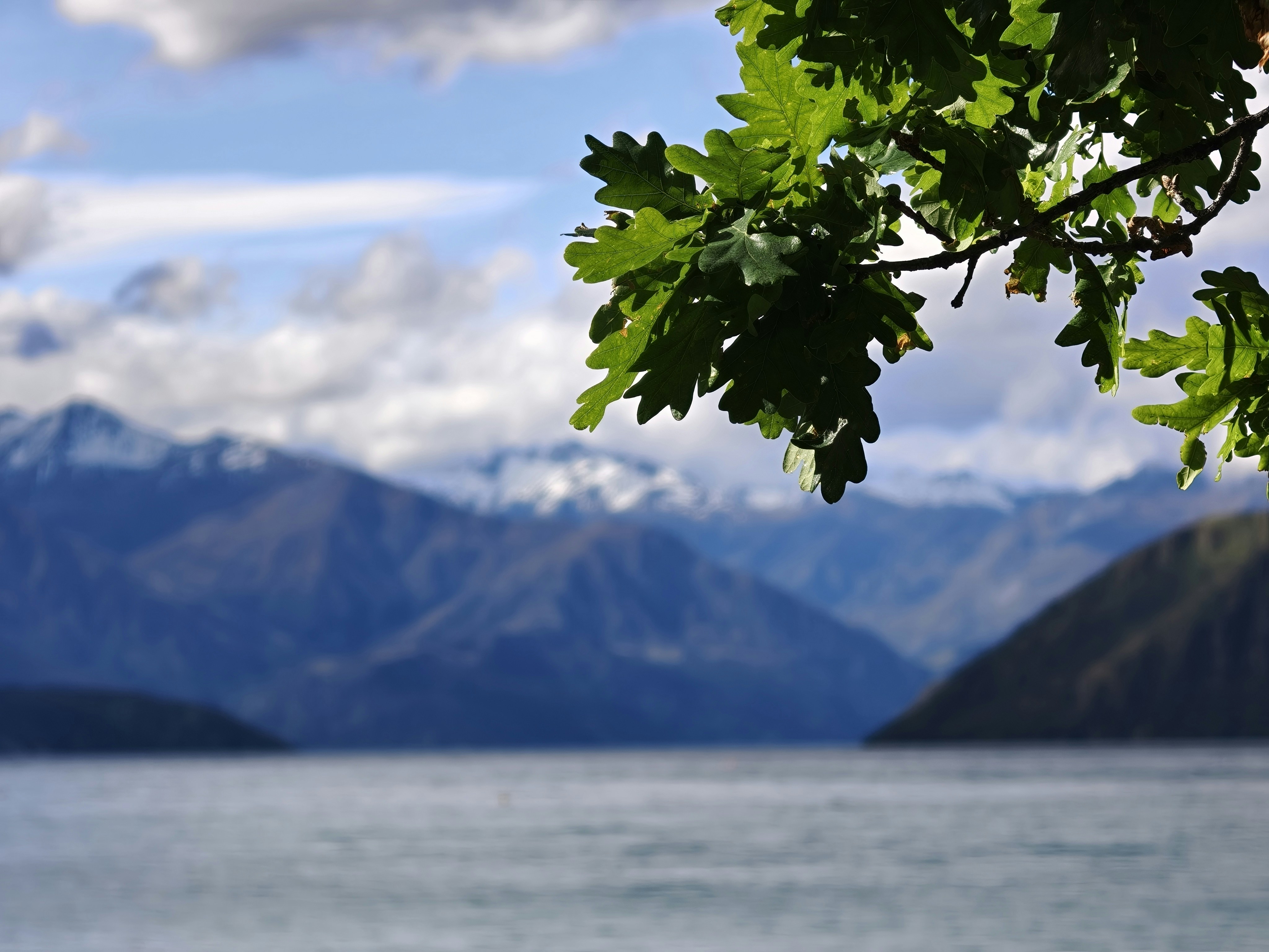 Photo by bijoyabraham