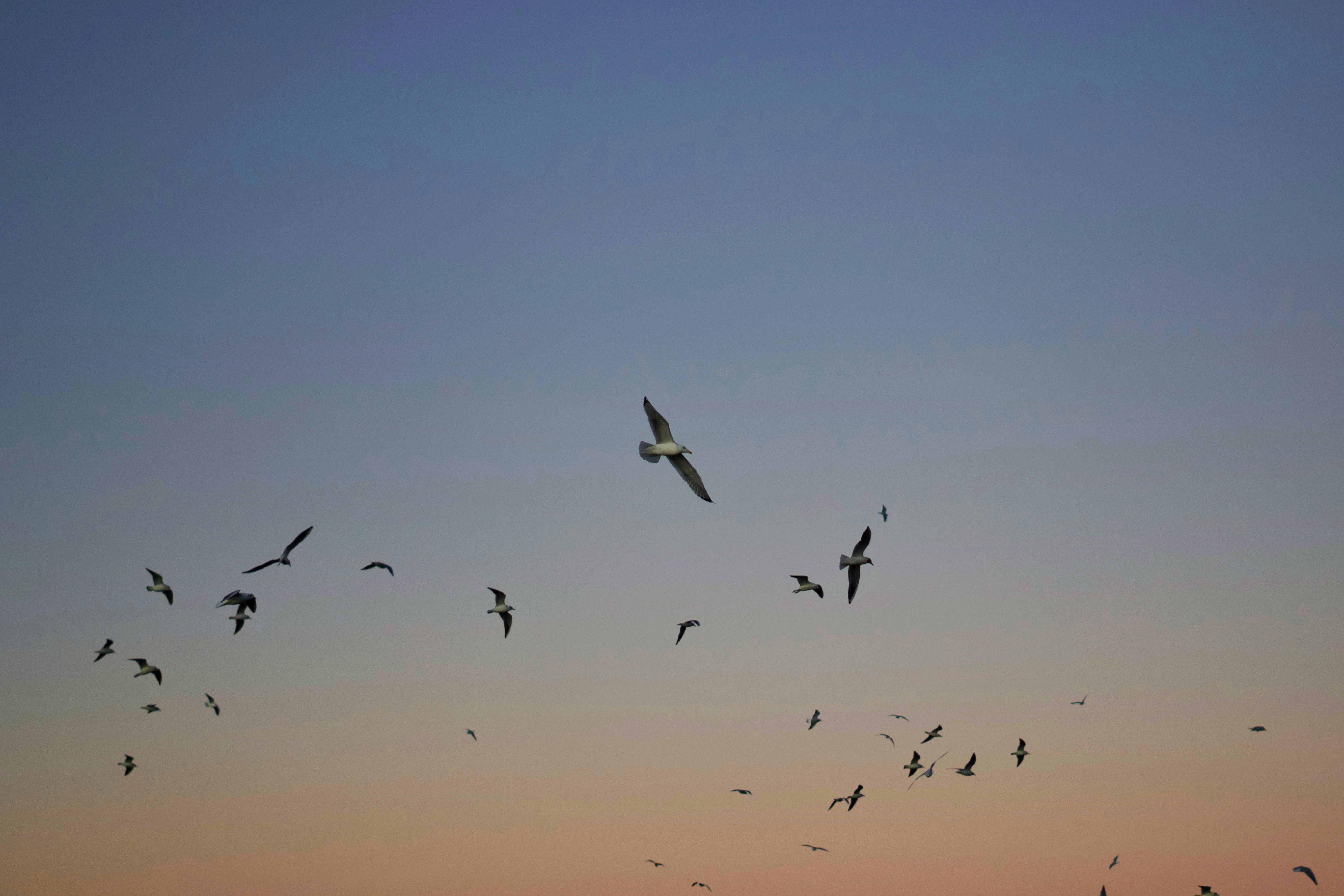 Photo by theodor_jacob