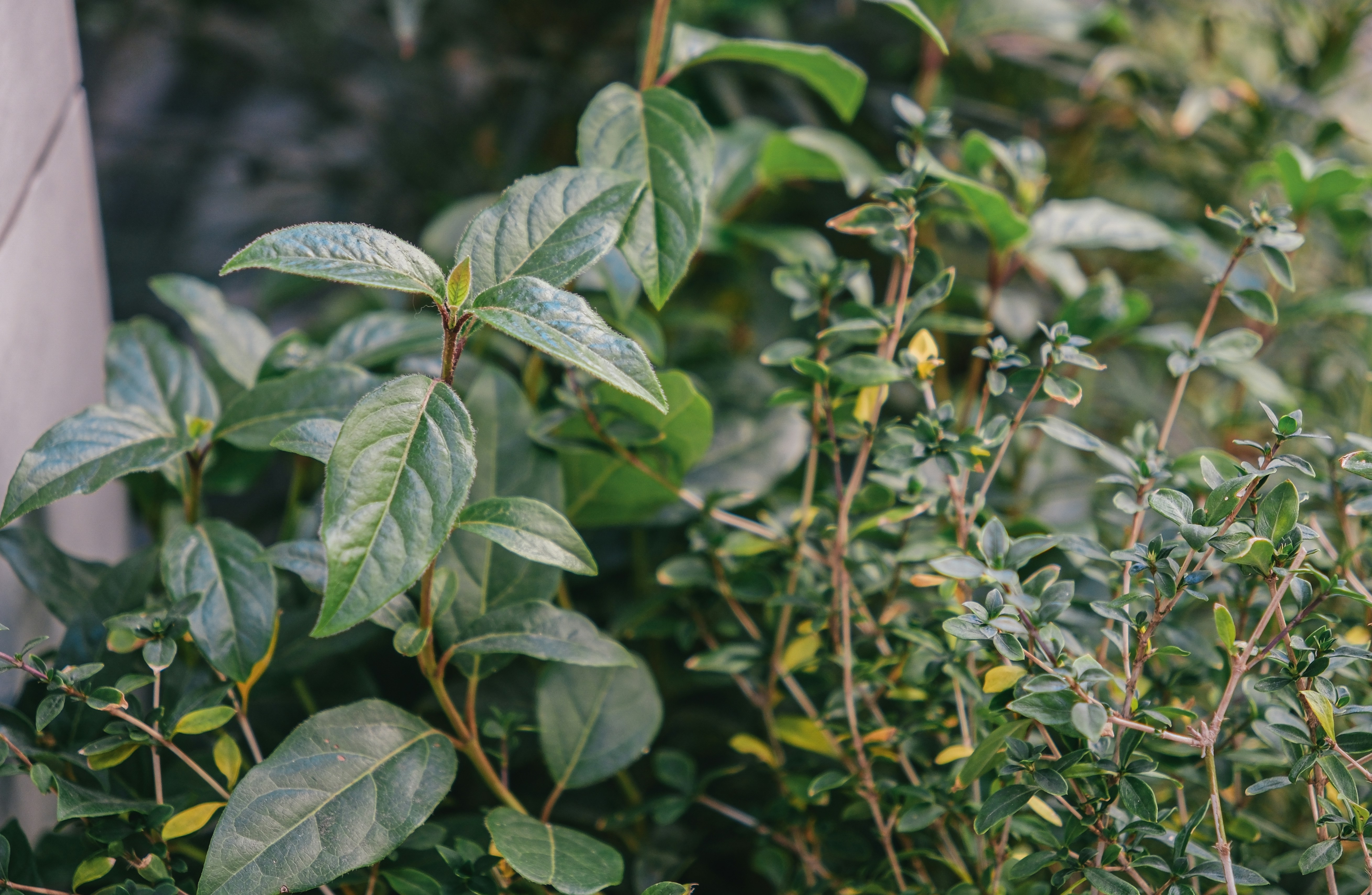 Photo by huyphan2602