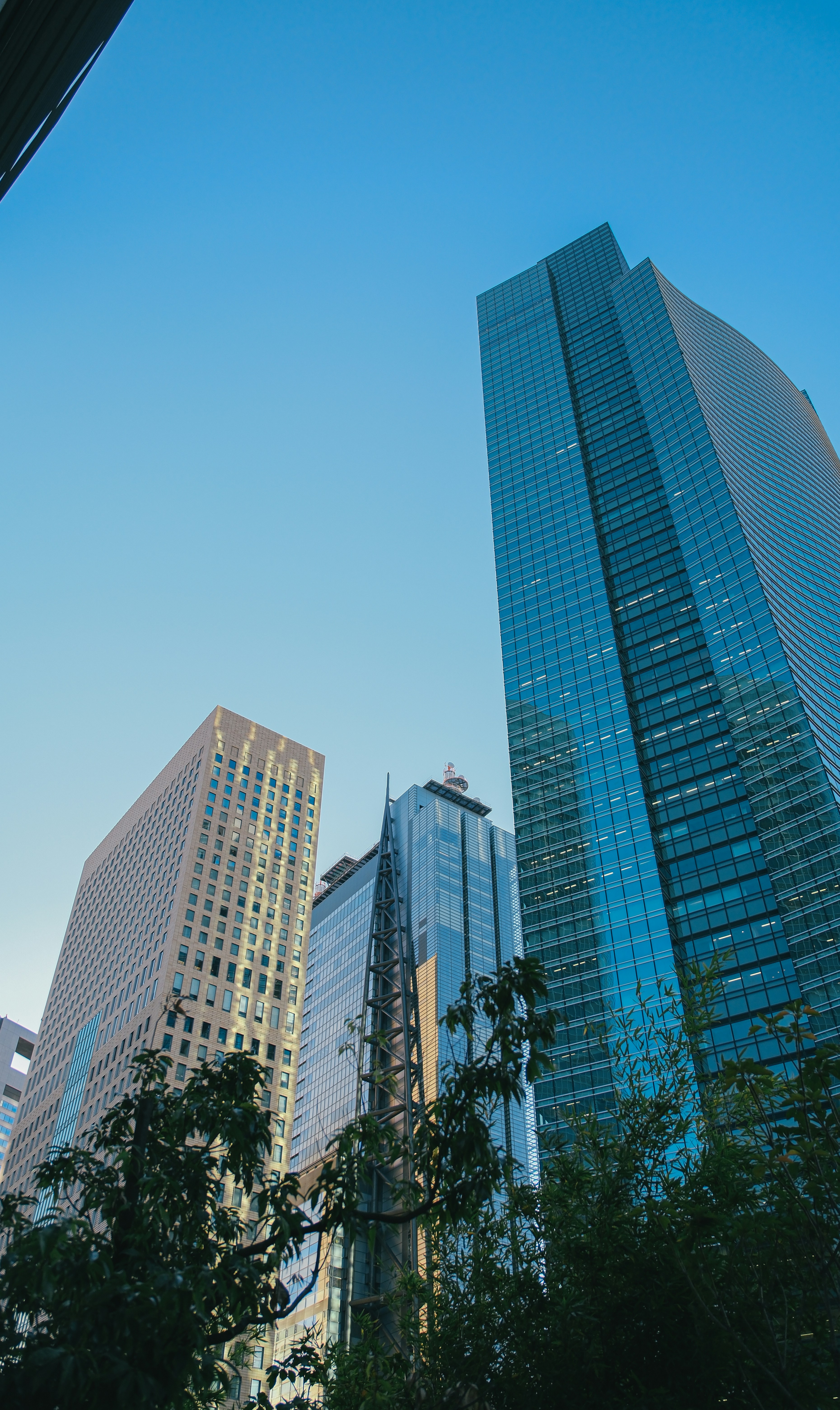 Photo by huyphan2602