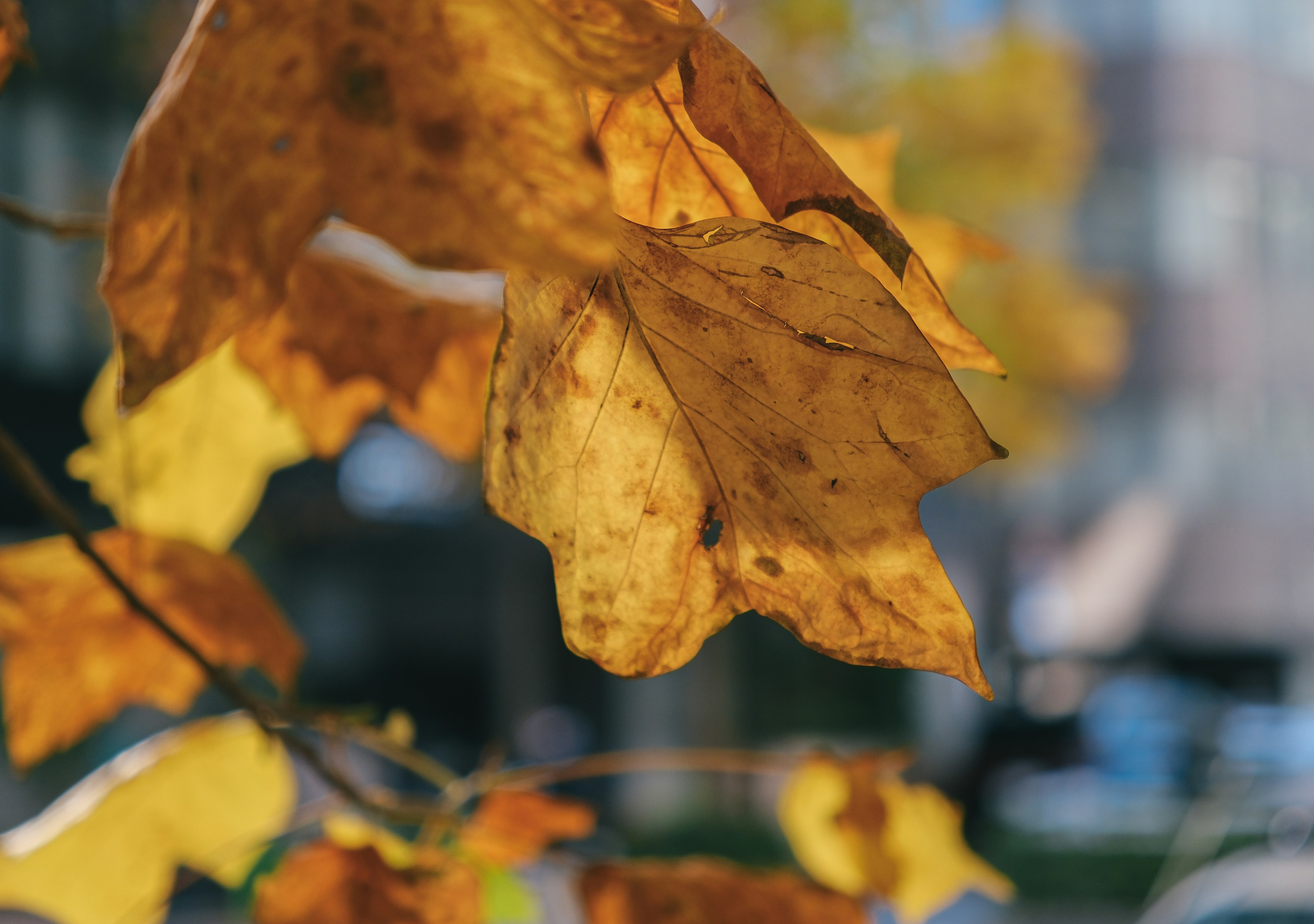 Photo by huyphan2602