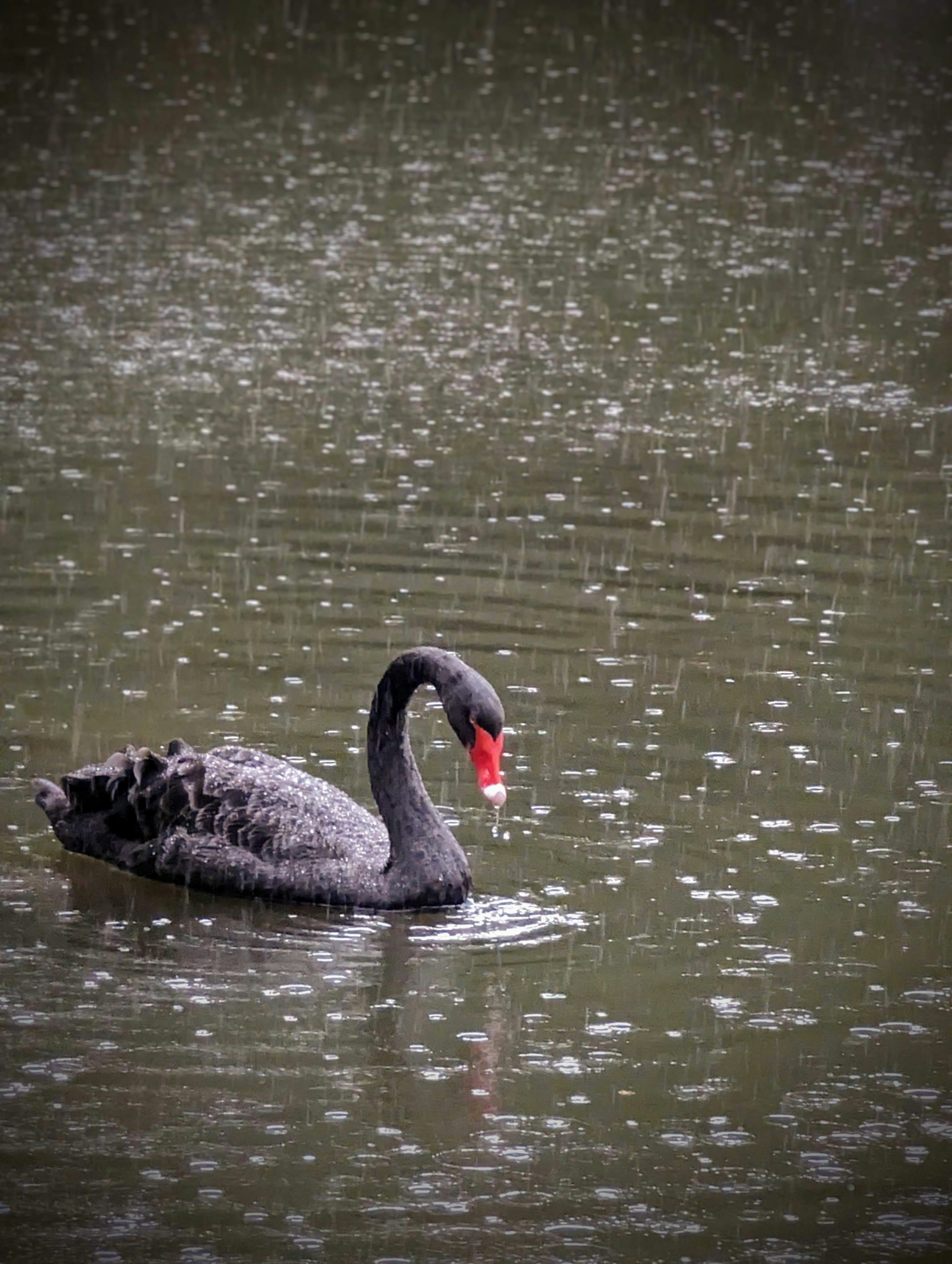 Photo by amanksharma11