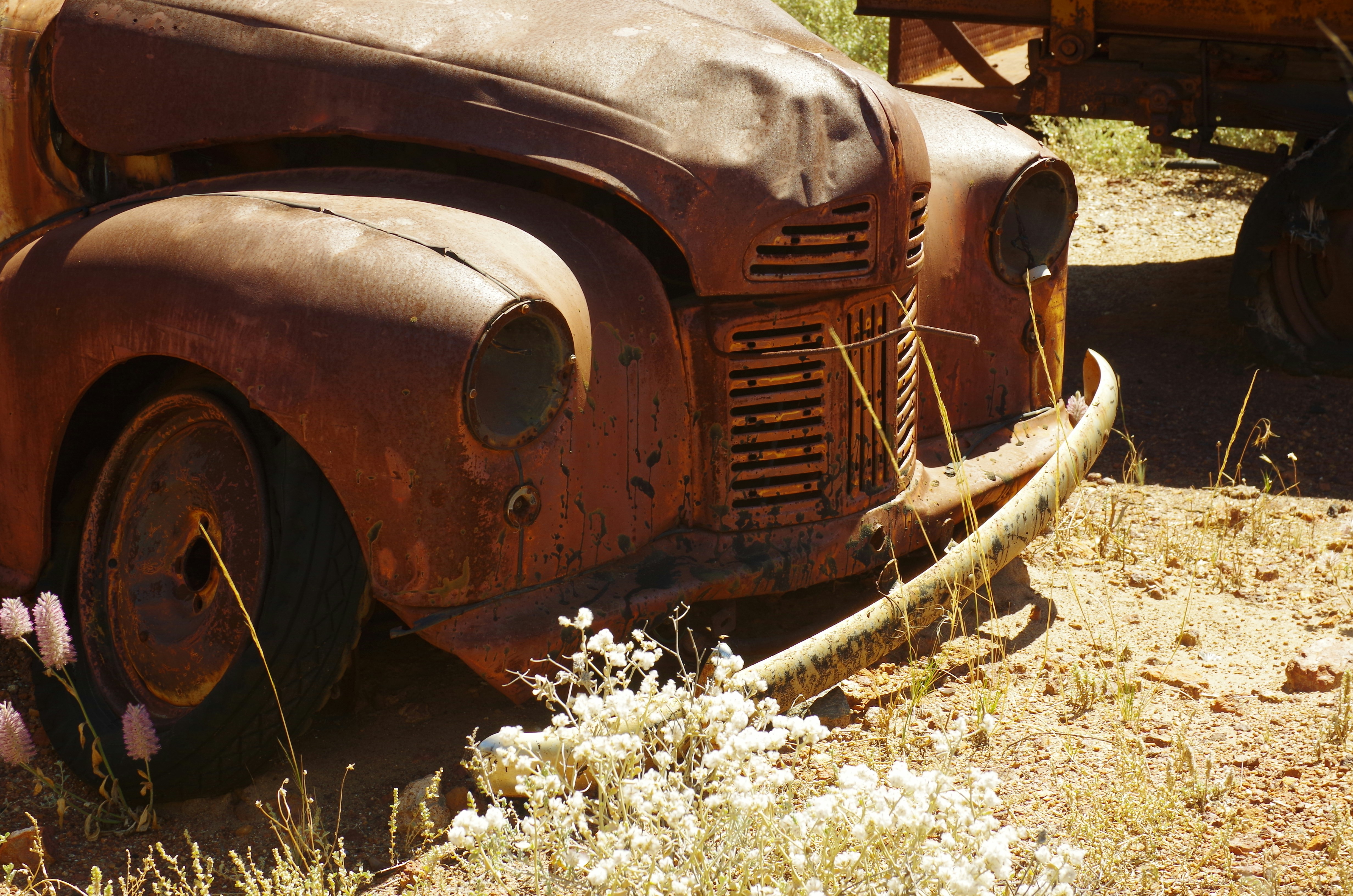 Photo by photoken123